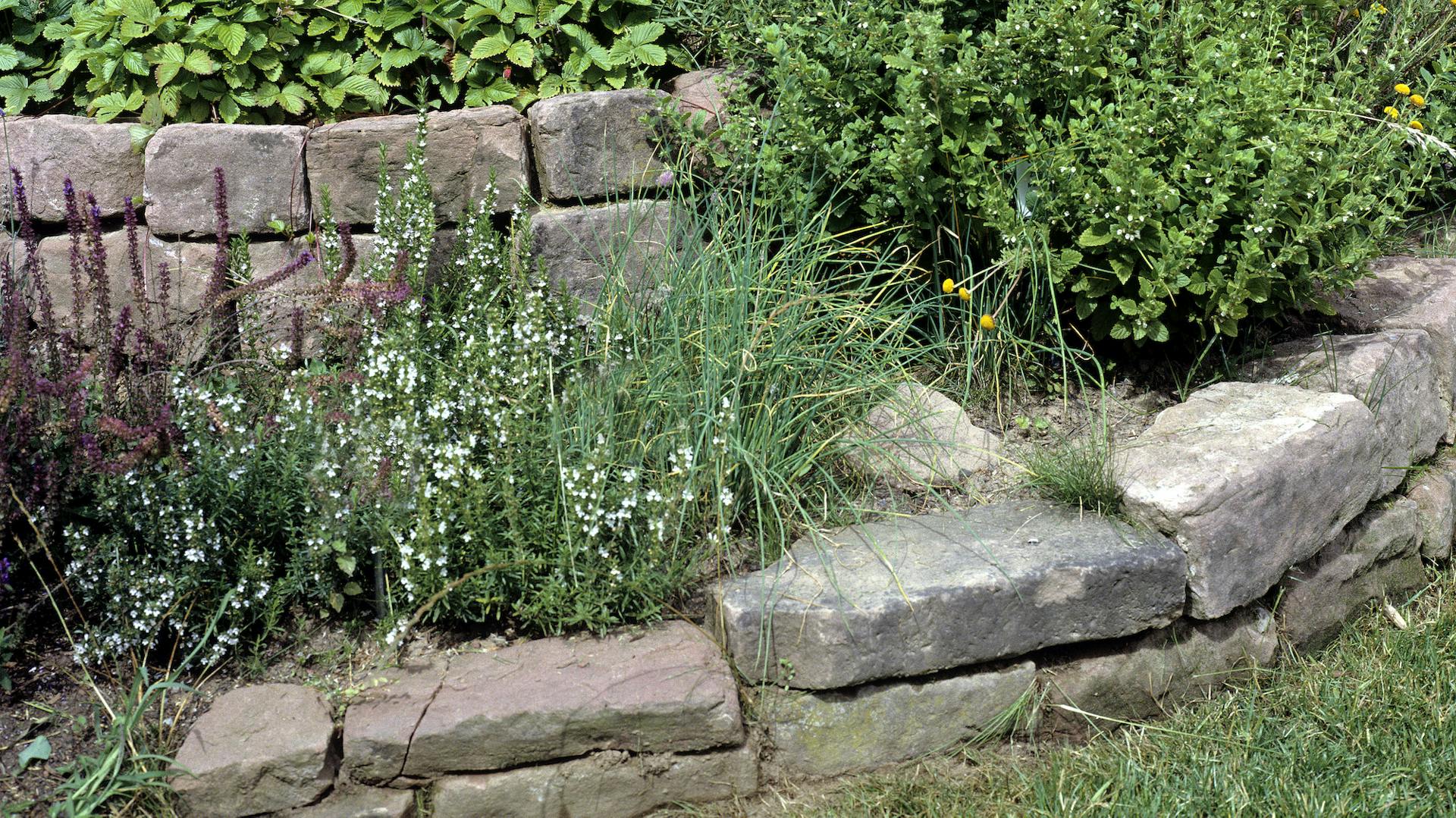 Kräuterschnecke aus Stein mit verschiedenen Kräutern
