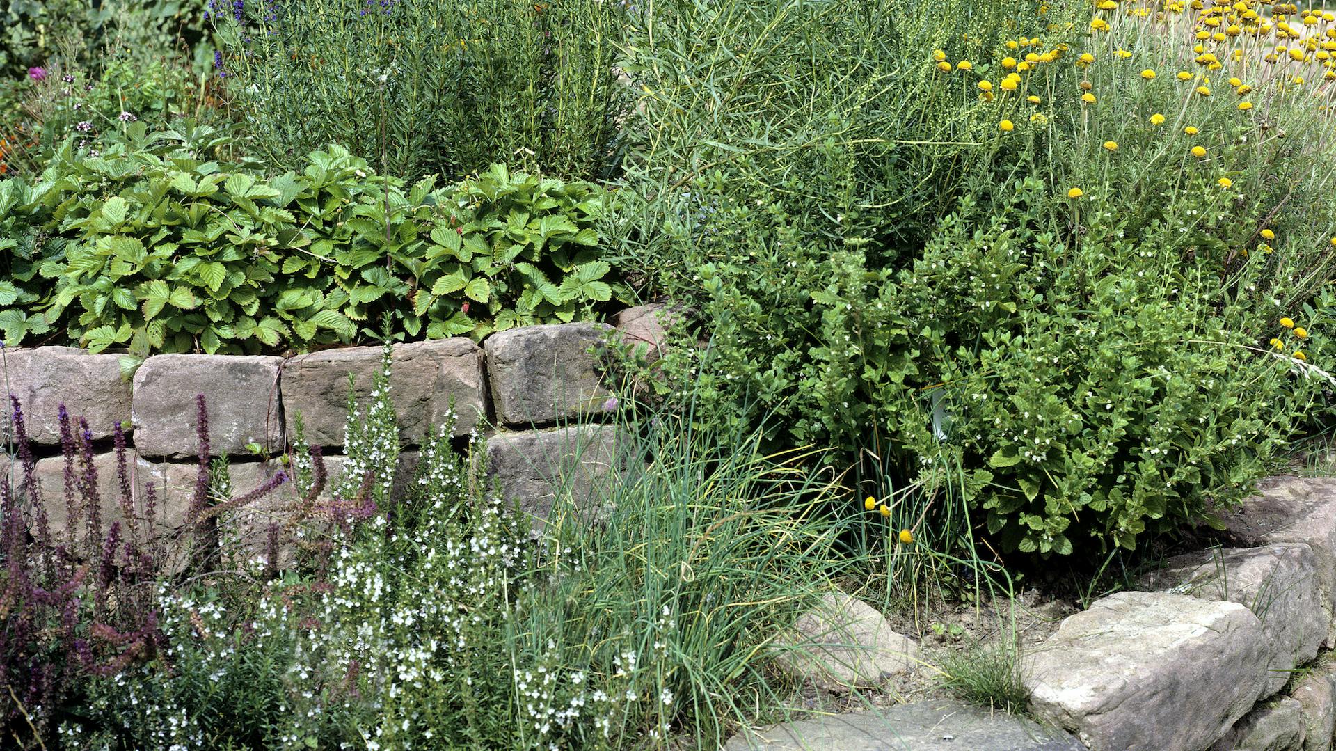 Kräuterspirale auf Wiese