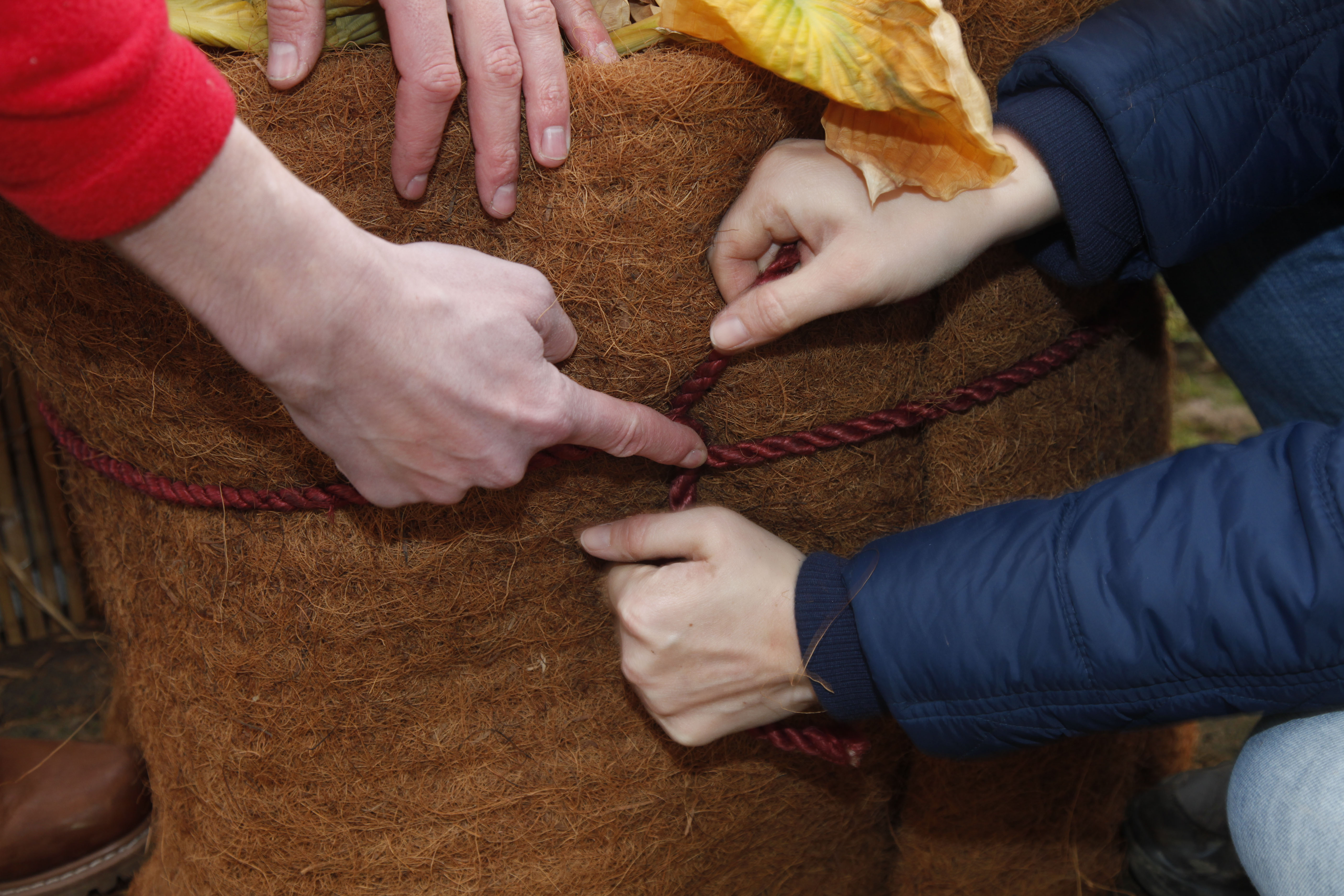 Amanti del fai da te legano le fibre di cocco con cordino saldamente attorno al vaso.