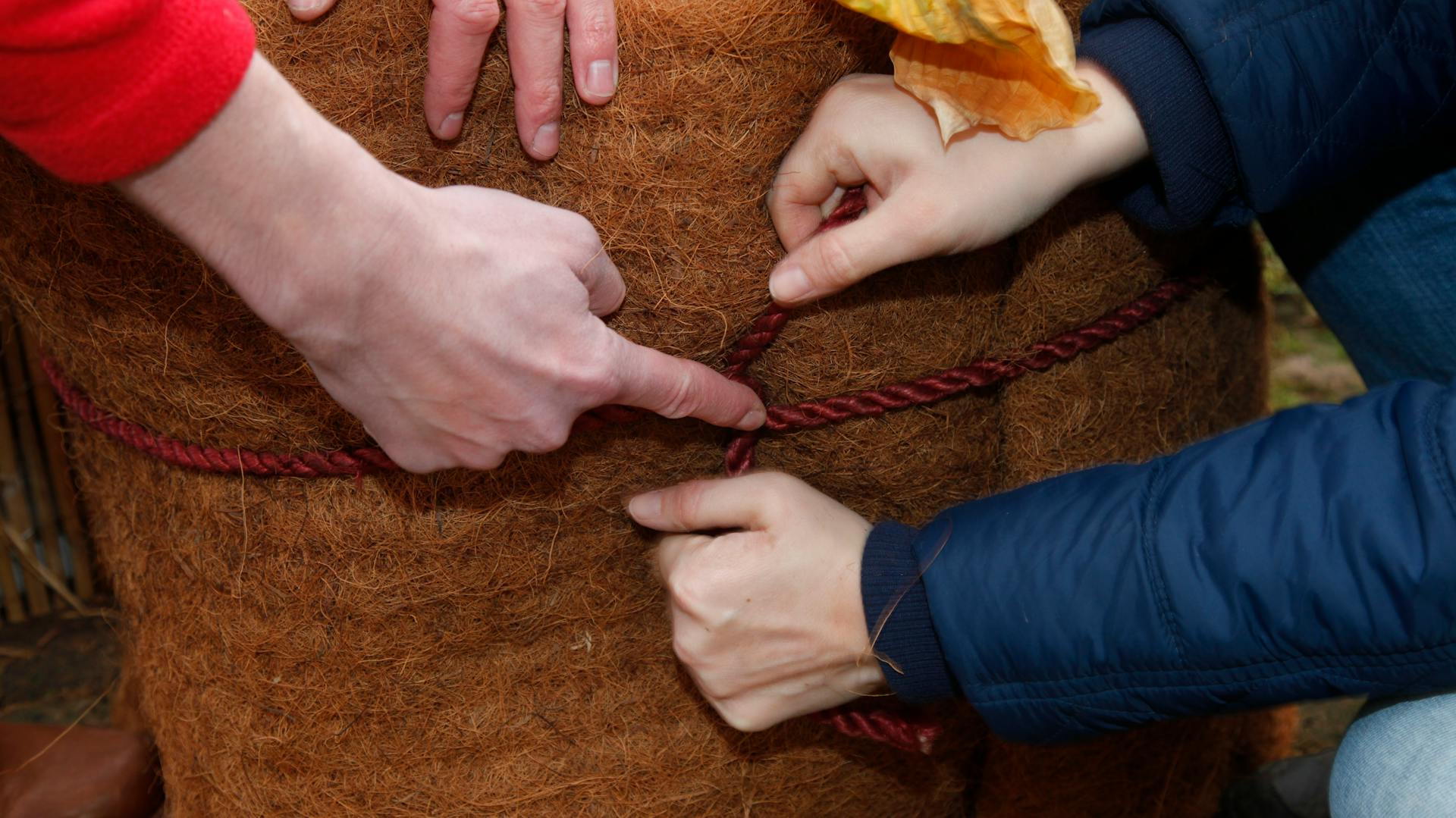 Amanti del fai da te legano le fibre di cocco con cordino saldamente attorno al vaso.