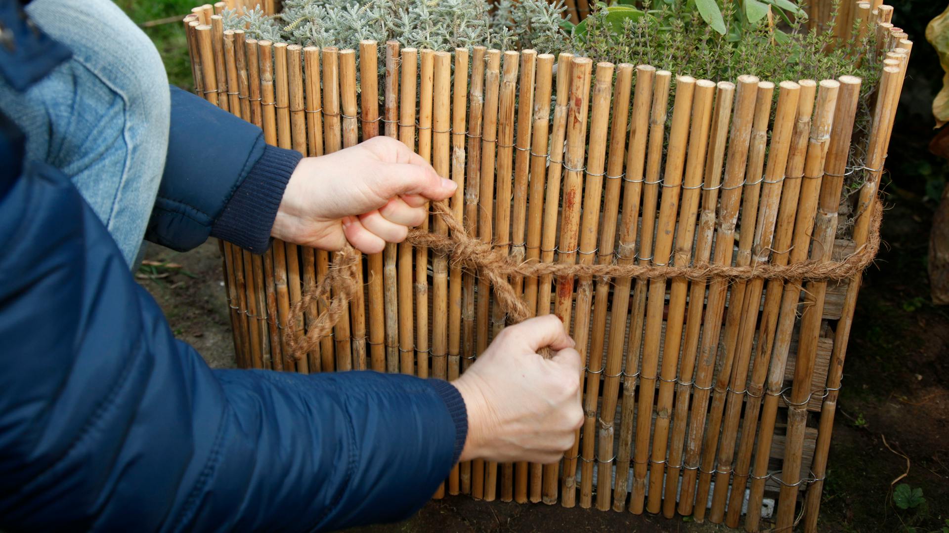 Appassionato di fai da te lega la stuoia di canne attorno alla cassetta di erbe aromatiche per proteggerla dall’inverno.