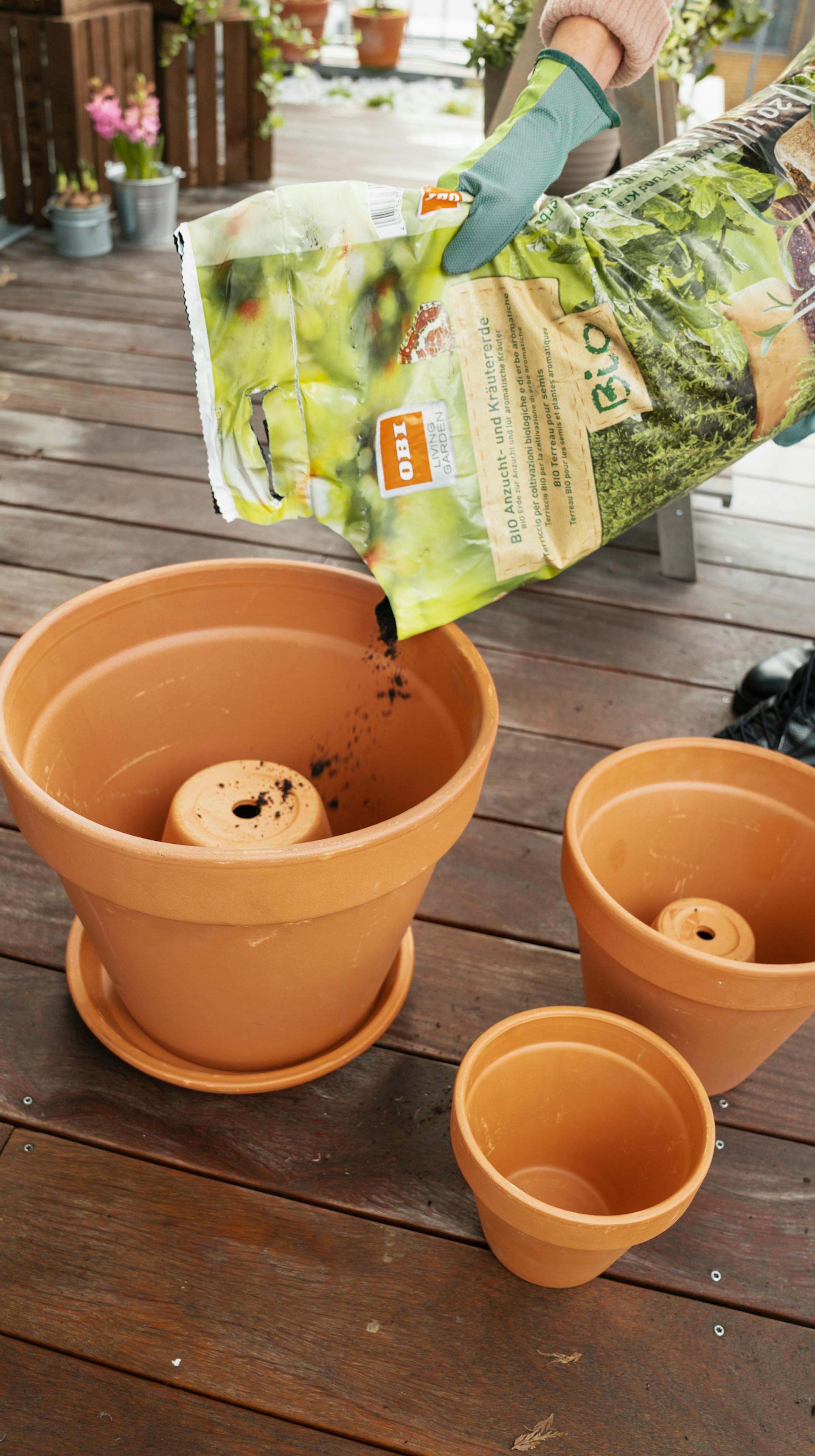 Un vaso viene riempito con terriccio