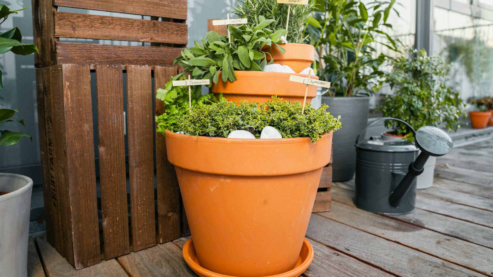 Torre di vasi per erbe aromatiche sul un balcone