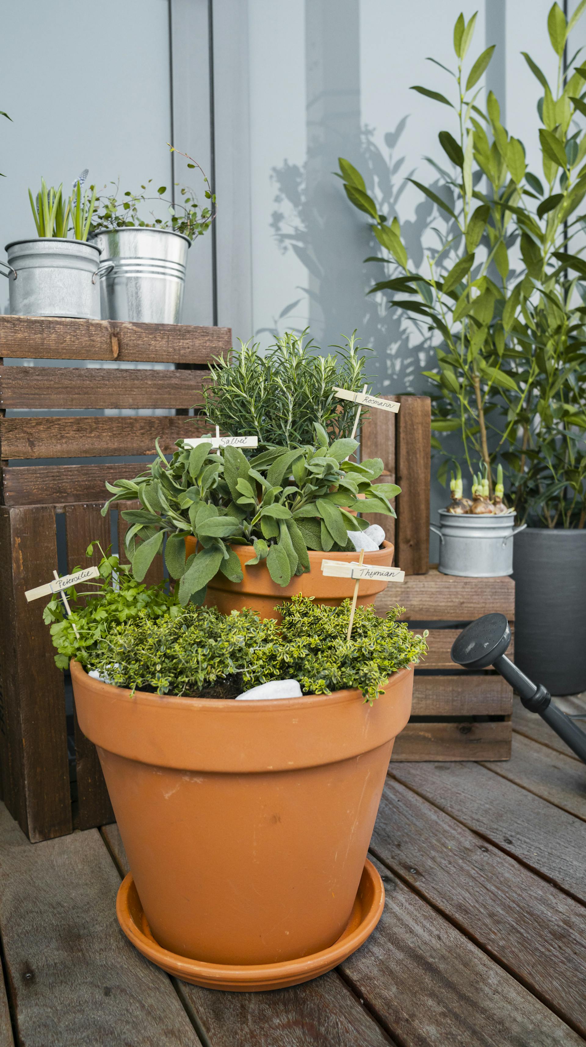 Torre di vasi per erbe aromatiche sul un balcone