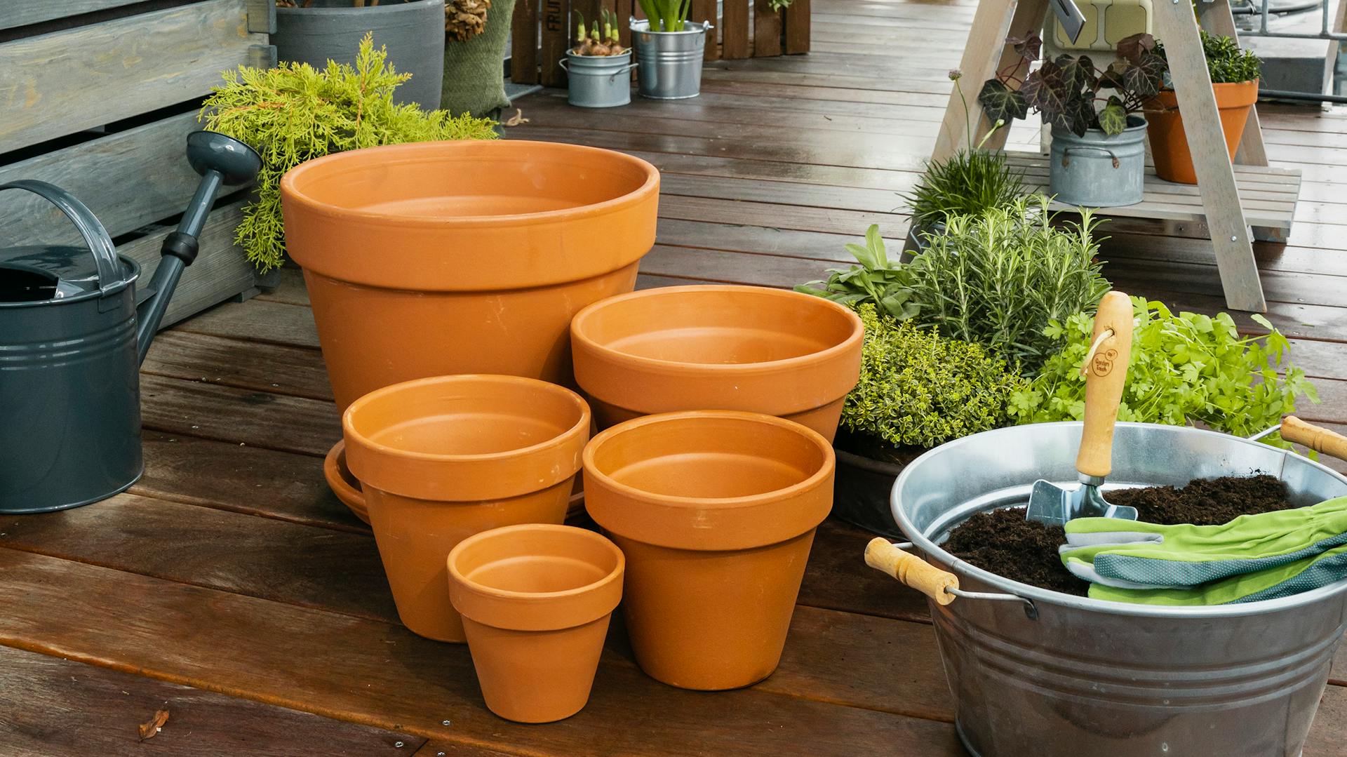 Vasi in terracotta con erbe aromatiche su un balcone