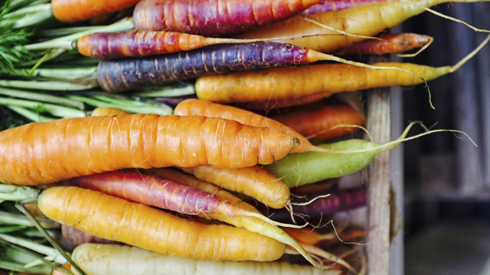 Möhren in unterschiedlichen Farben