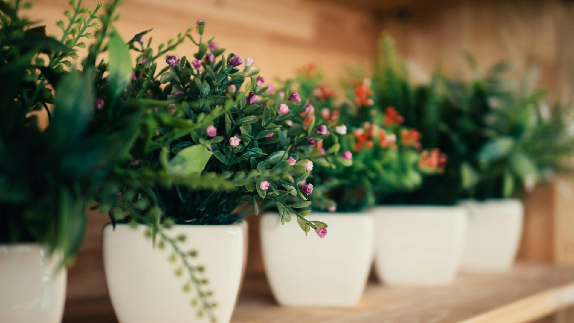 Mehrere künstliche Pflanzen stehen auf einem Regalbrett.