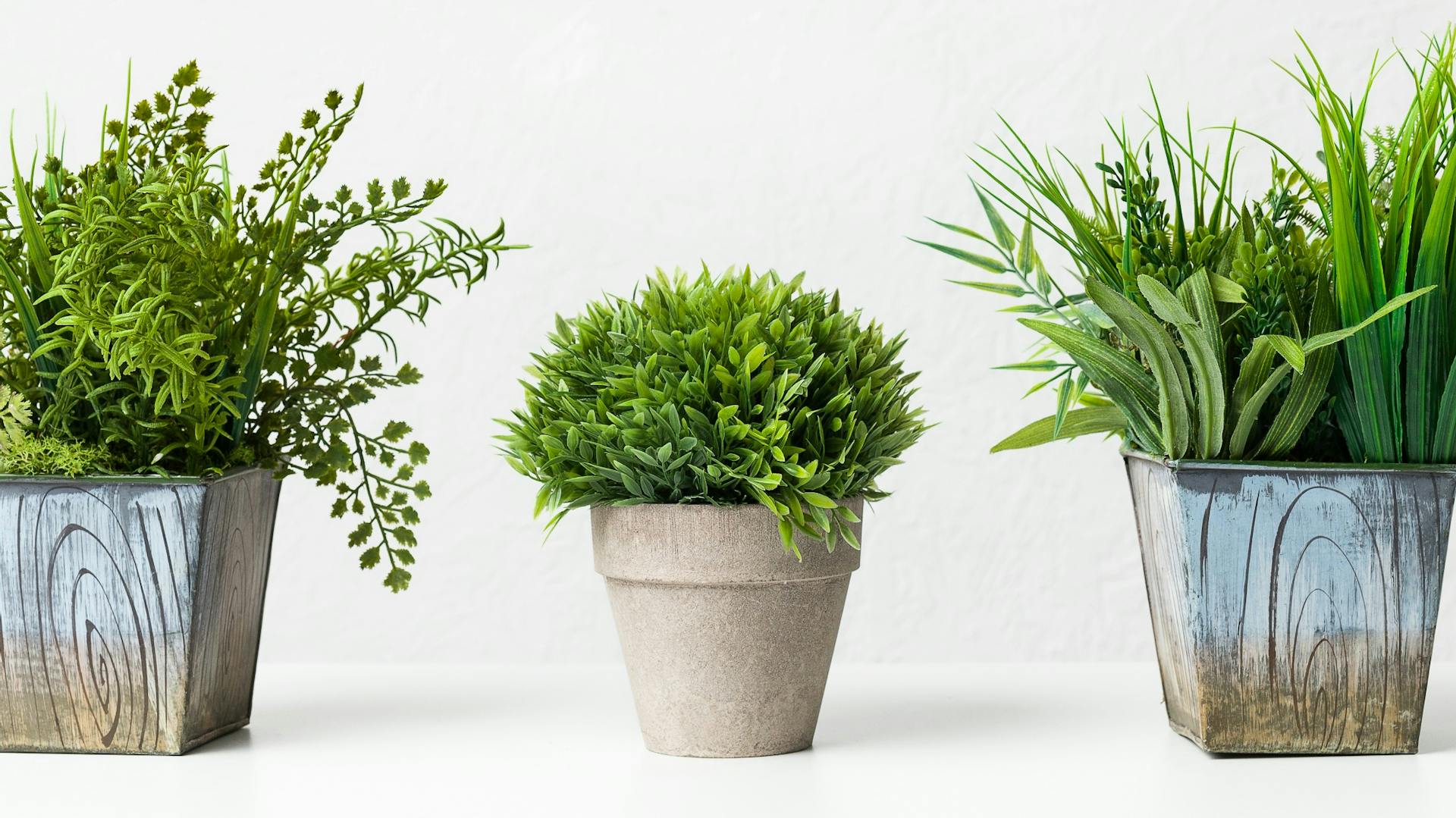 Drei künstliche Pflanzen in kleinen Übertöpfen auf einem Tisch