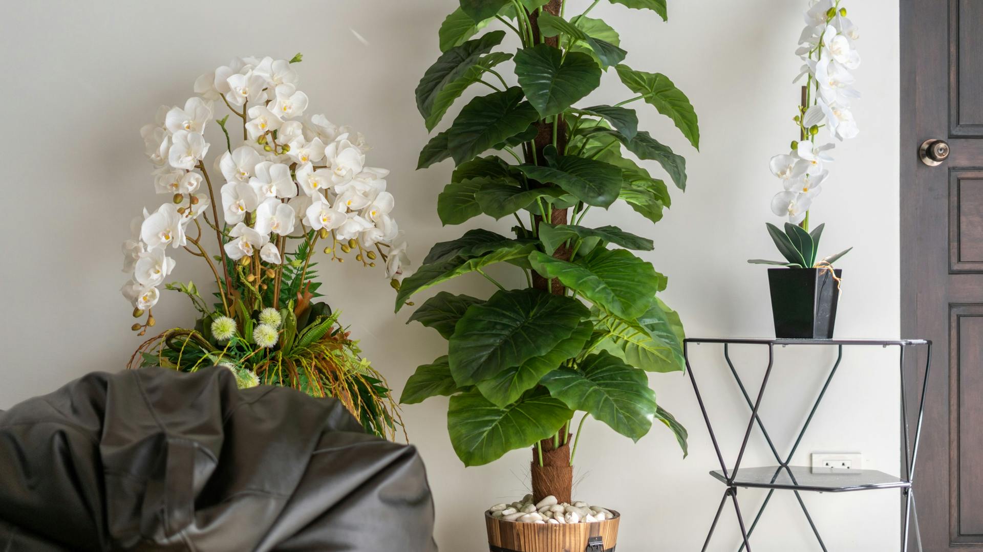 Verschiedene künstliche Zimmerpflanzen in einem Wohnzimmer mit Beistelltisch und Sitzsack.