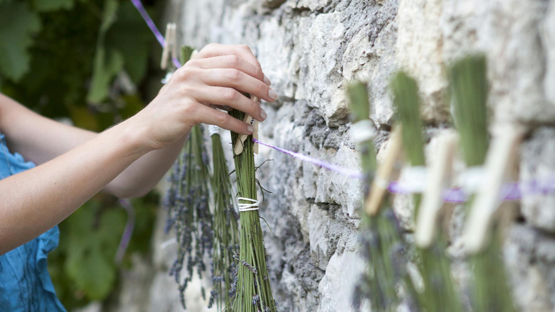 Eine Frau hängt Lavendel an einer Schnur zum Trocknen auf.