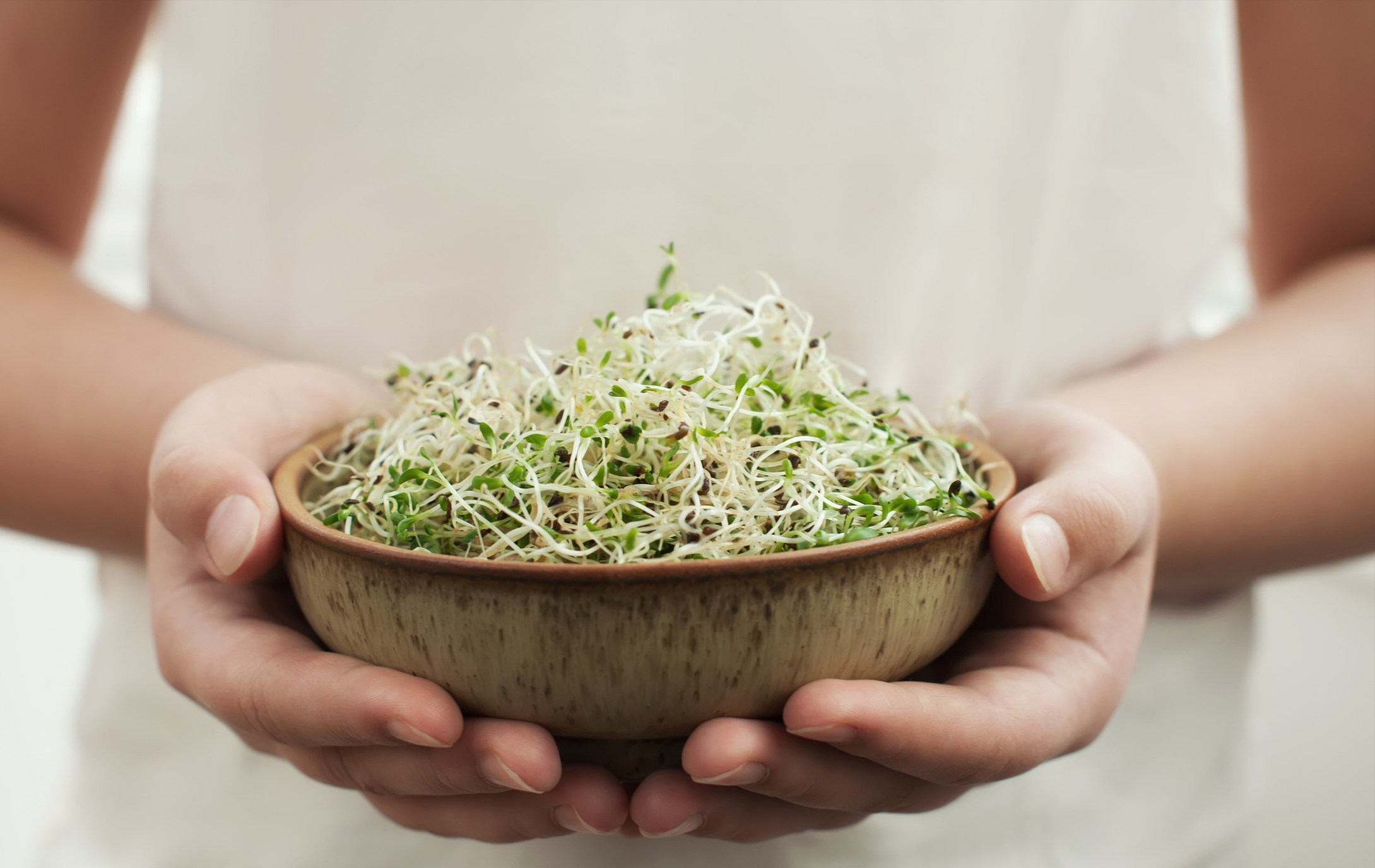 Eine Frau hält Alfalfa-Sprossen in einer Schale