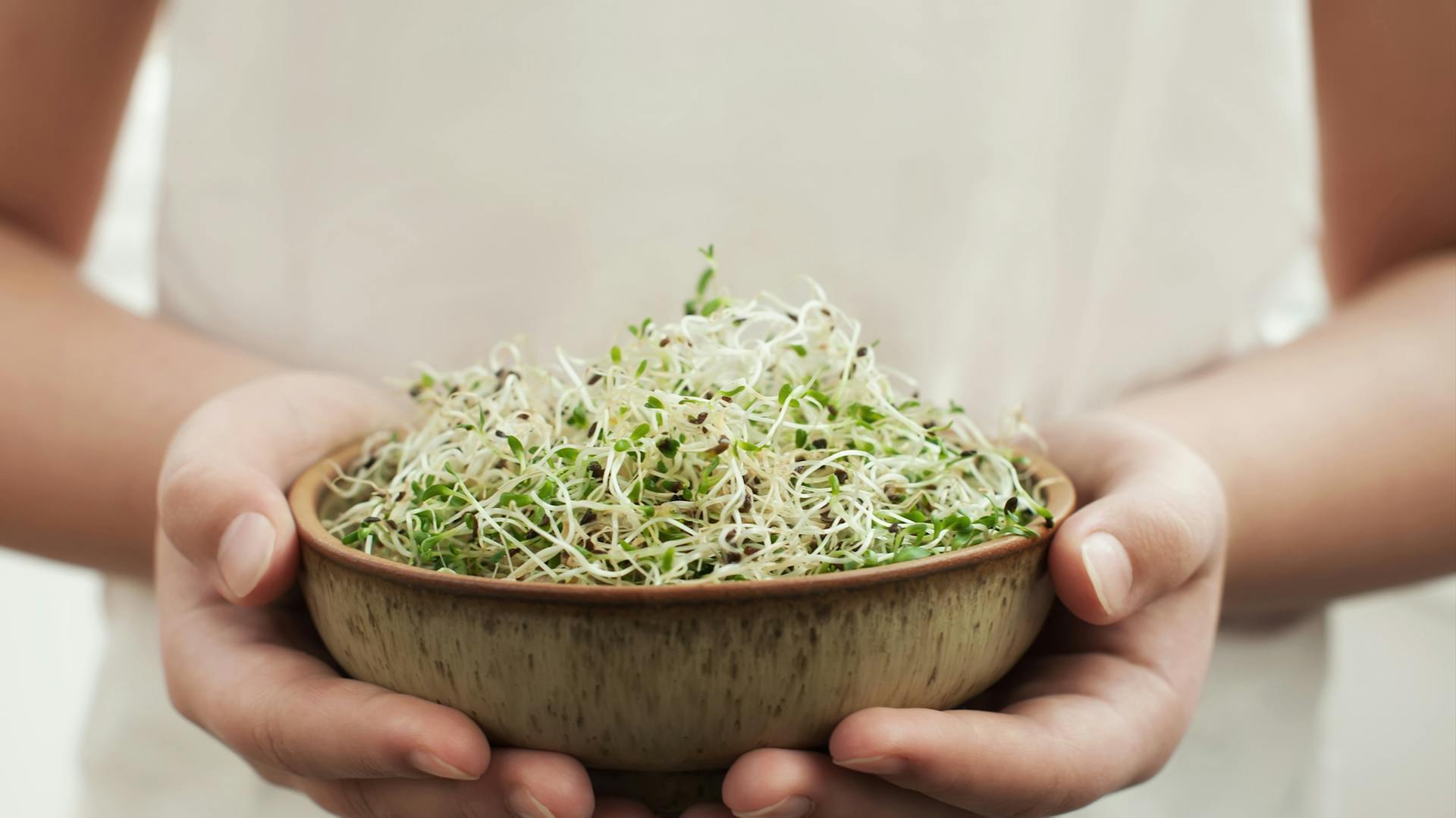 Eine Frau hält Alfalfa-Sprossen in einer Schale
