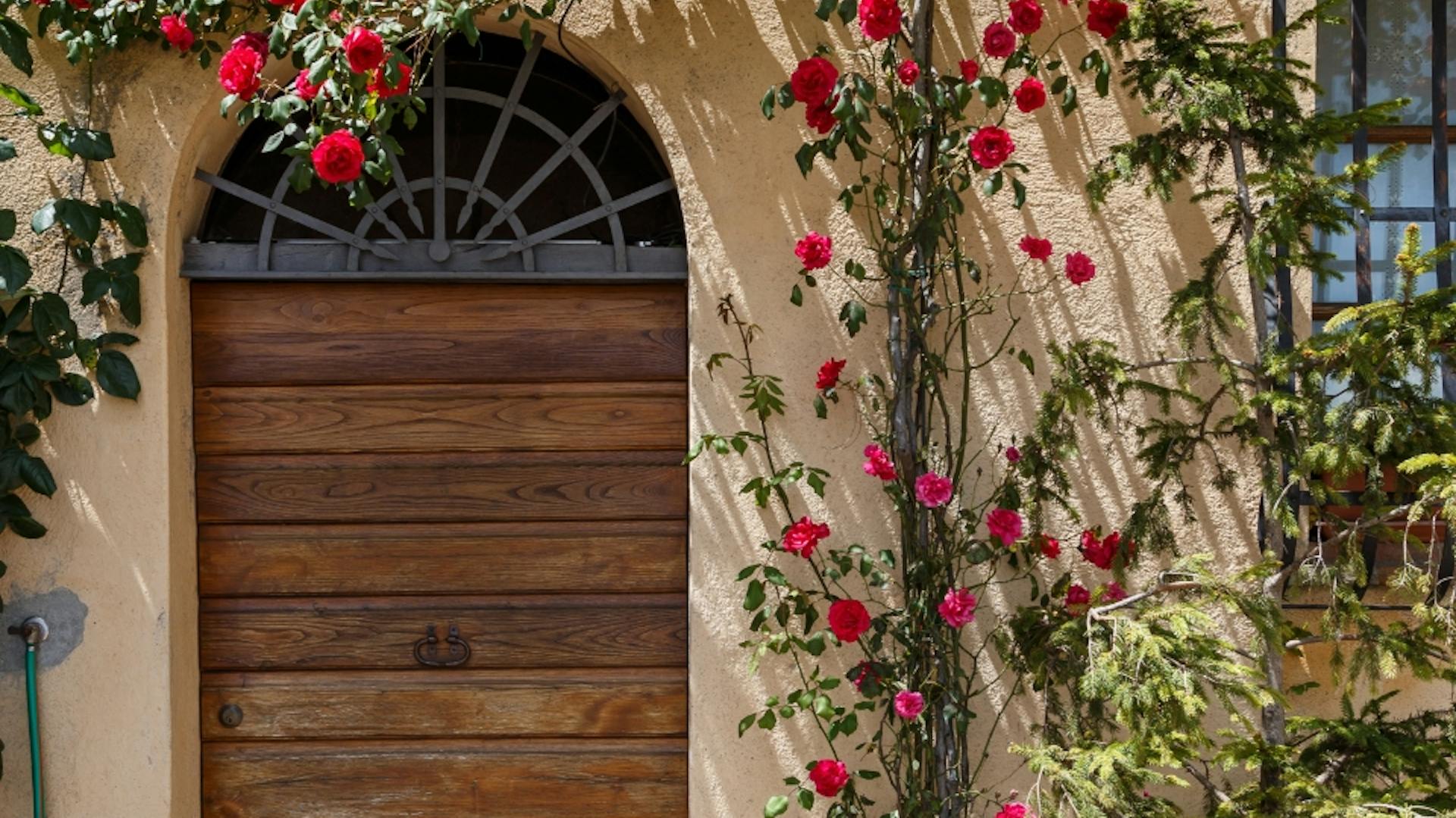Tür im mediterranen Stil umgeben von einem Rosenstrauch mit roten Blüten.