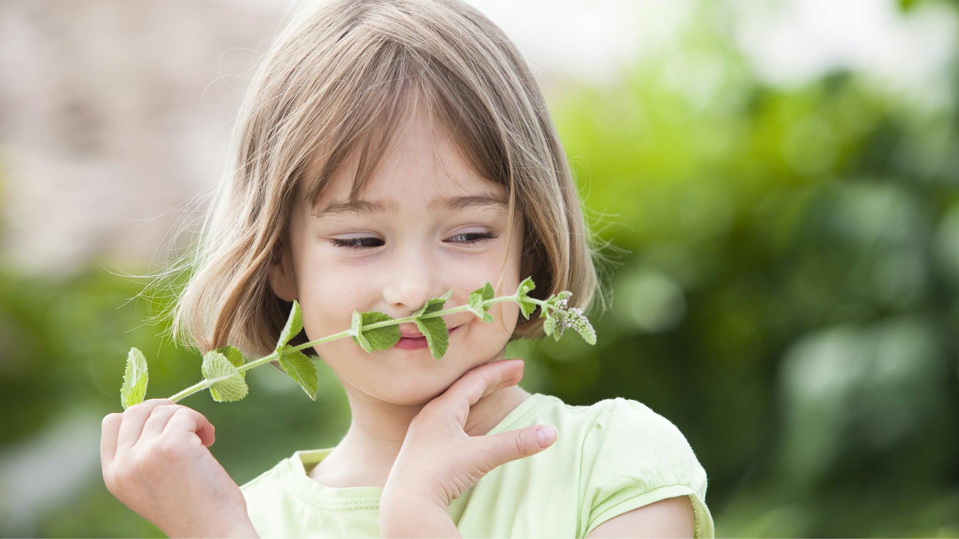 Minze in der Hand eines Mädchens