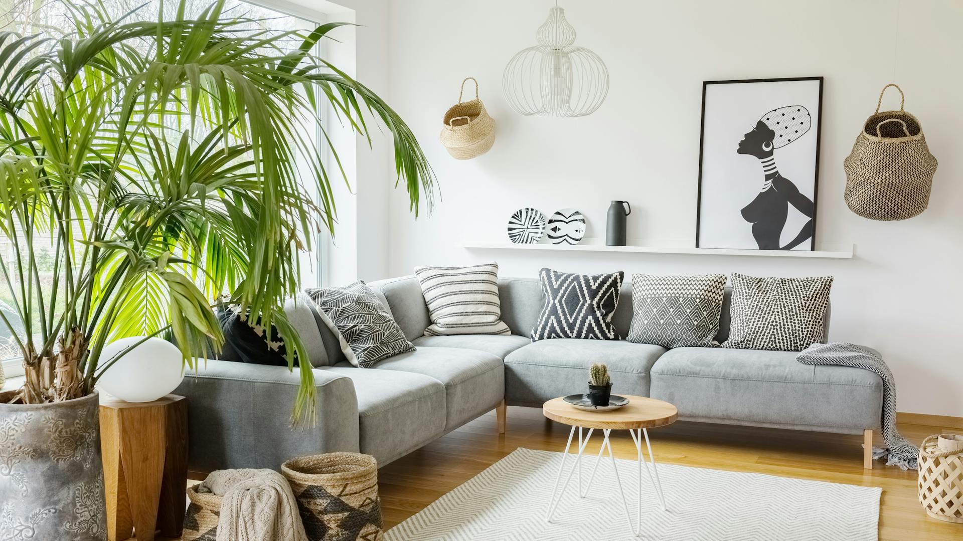 Zimmerpalme im Wohnzimmer neben einer grauen Couch