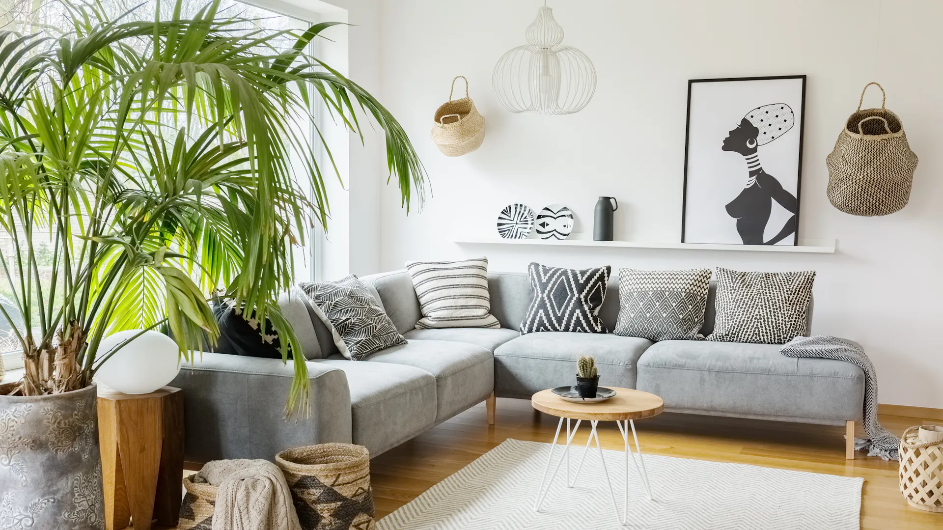 Palme im Wohnzimmer