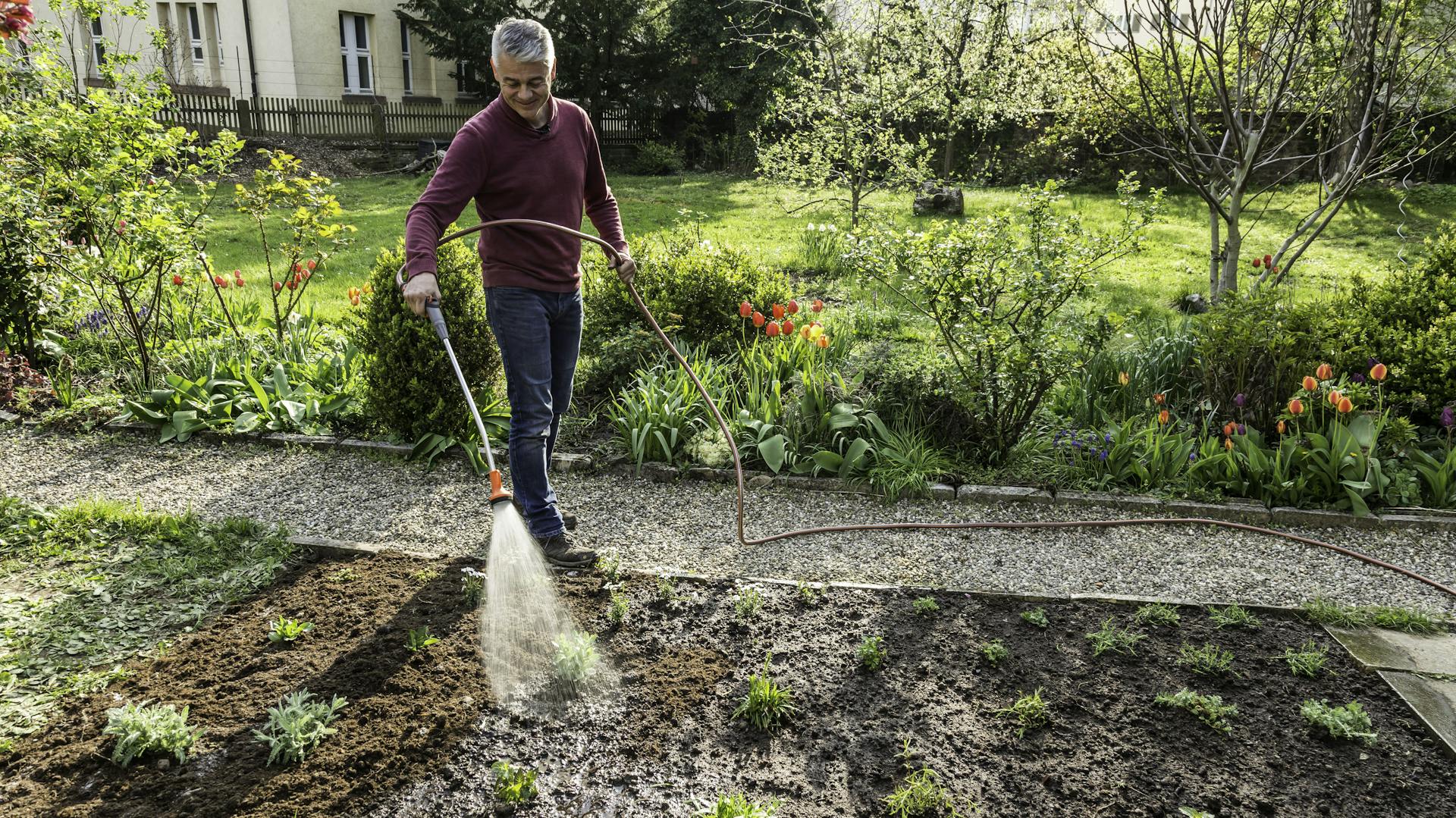 Valaki növényeket öntöz egy zöldségágyásban reggeli napsütésben.