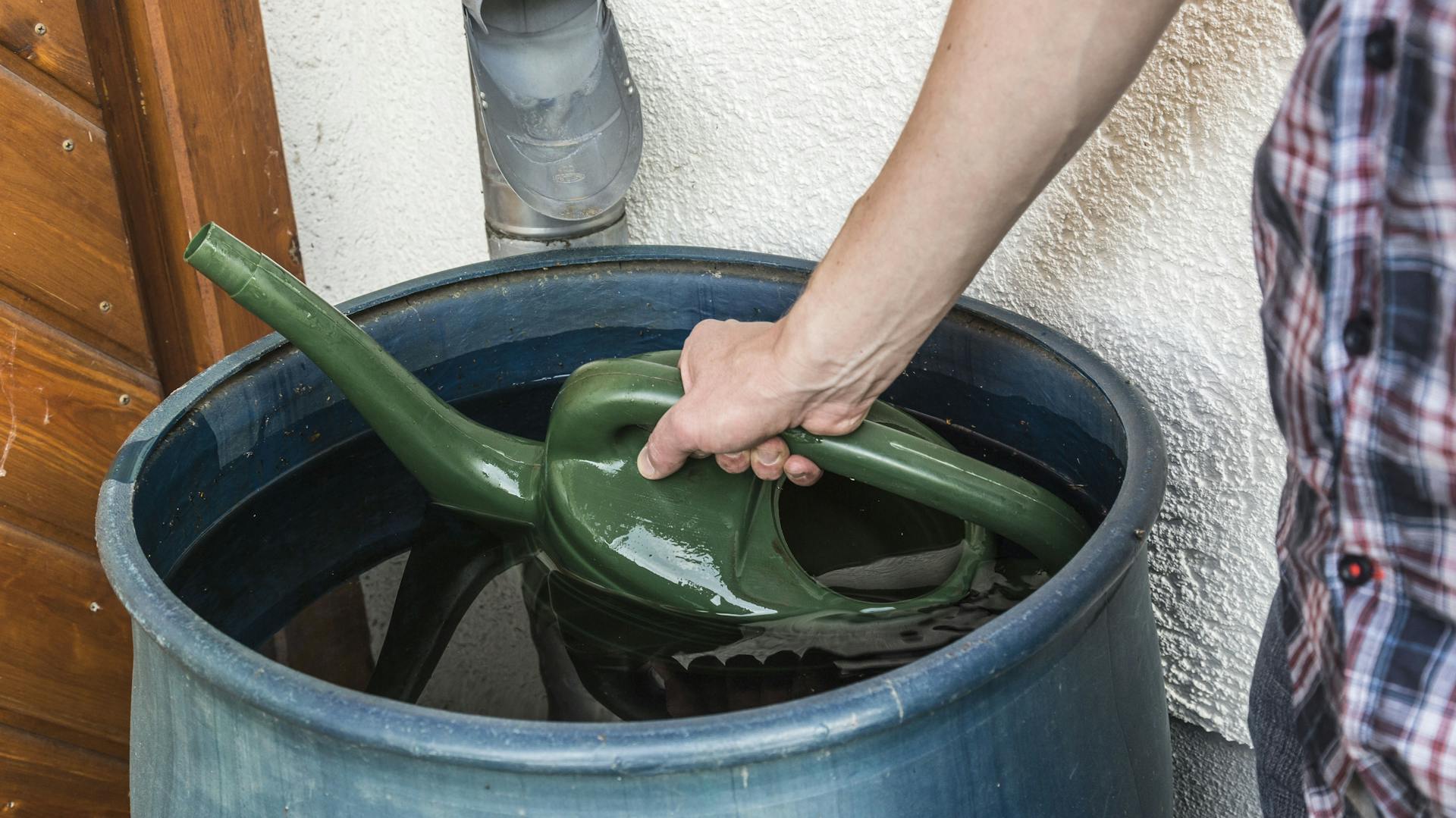 Valaki esővízzel tölt meg egy locsolókannát egy esővízgyűjtőből.