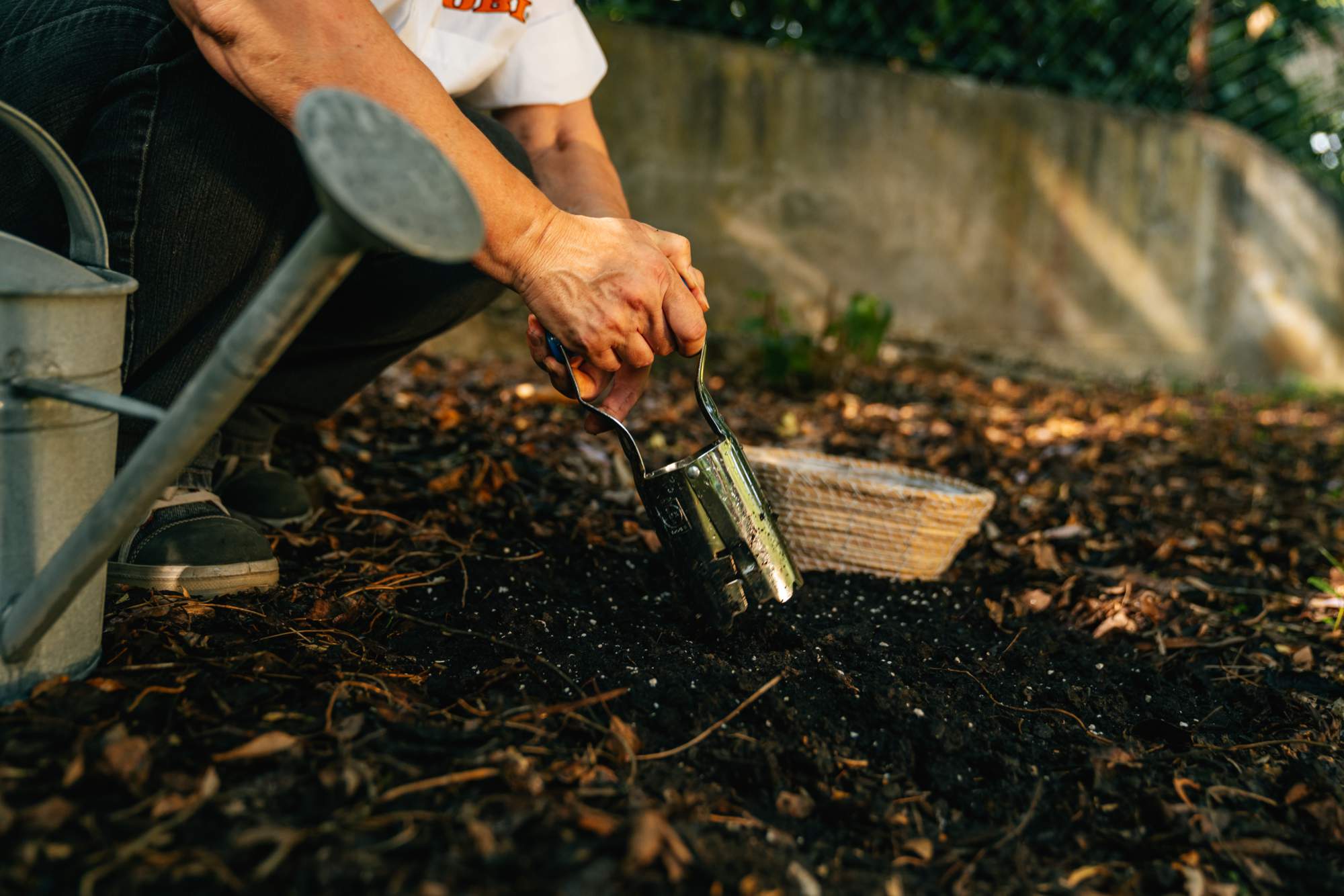 Mettere a dimora i bulbi in autunno
