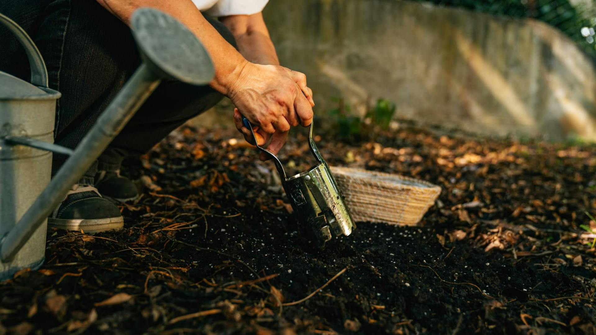 Blumenzwiebel setzen im Herbst
