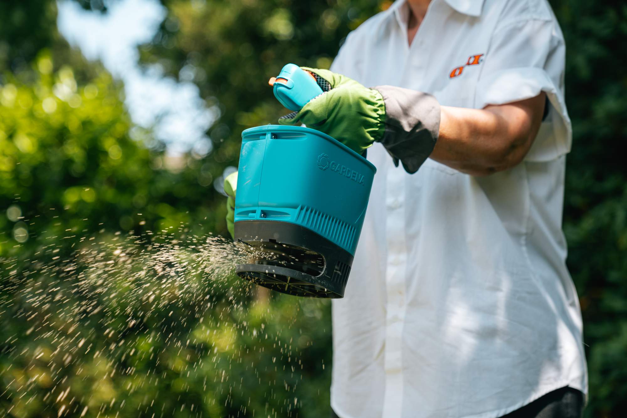 Concimare il giardino