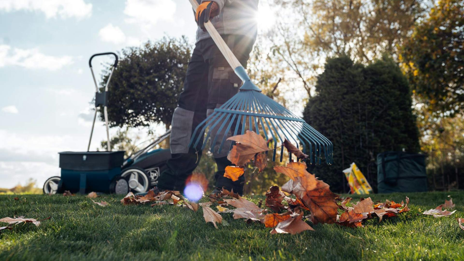 Altes Laub auf Rasen wird zusammengekehrt