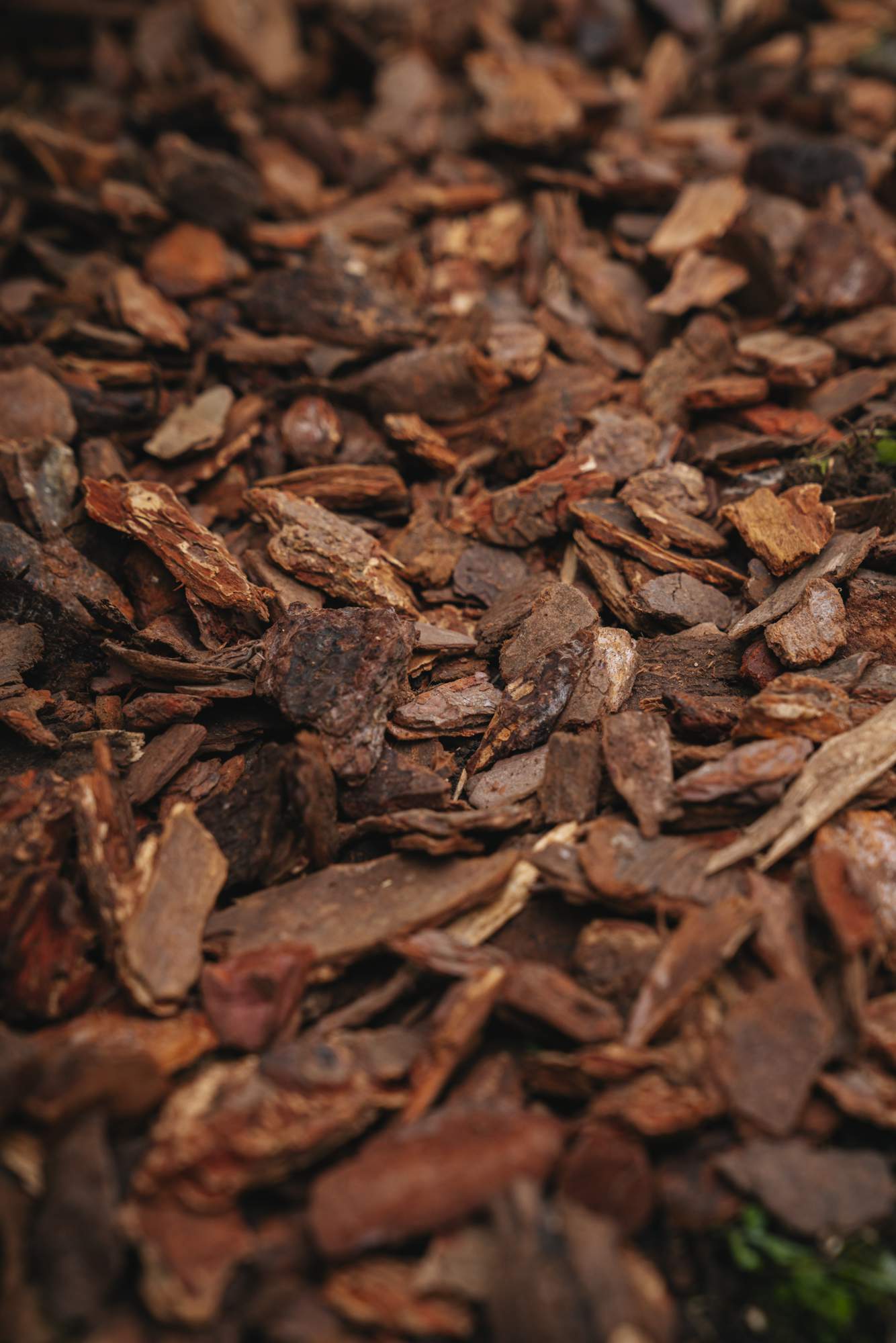 Immagine dettagliata del pacciame di corteccia distribuito