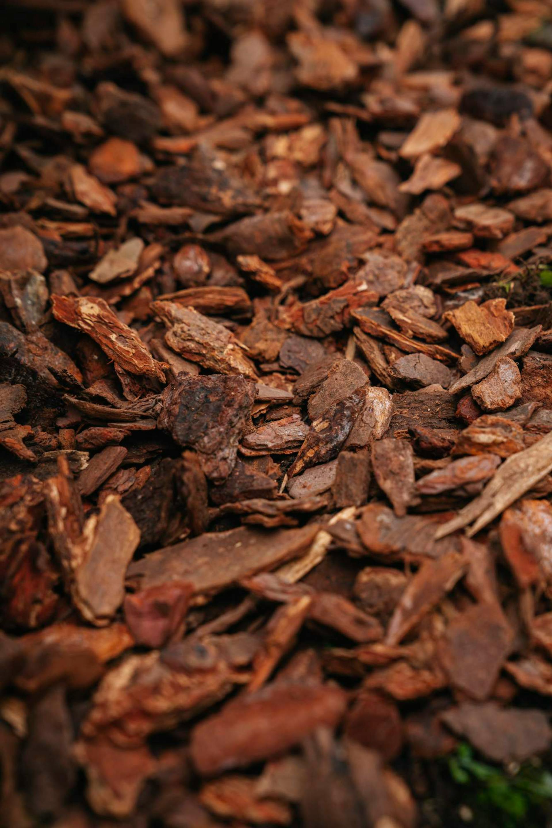 Közeli felvétel kéregmulcsról.