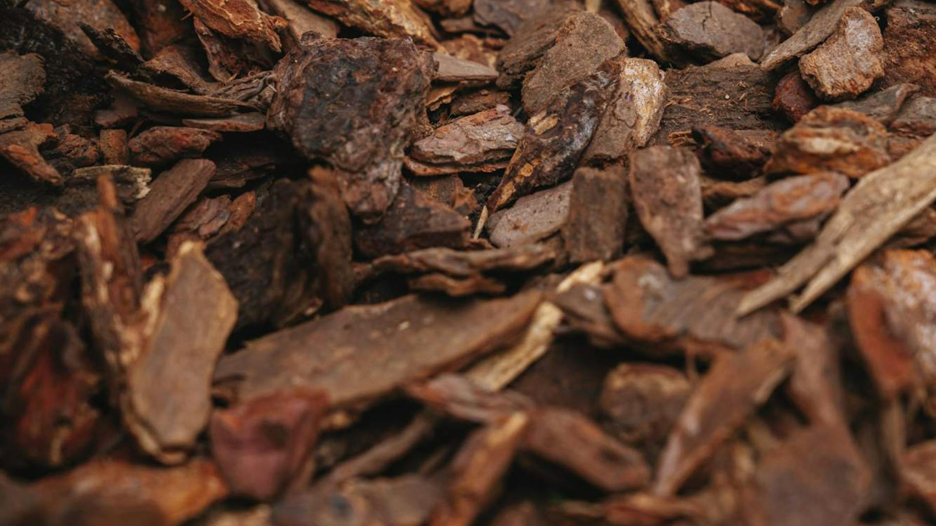 Detailaufnahme von verteiltem Rindenmulch