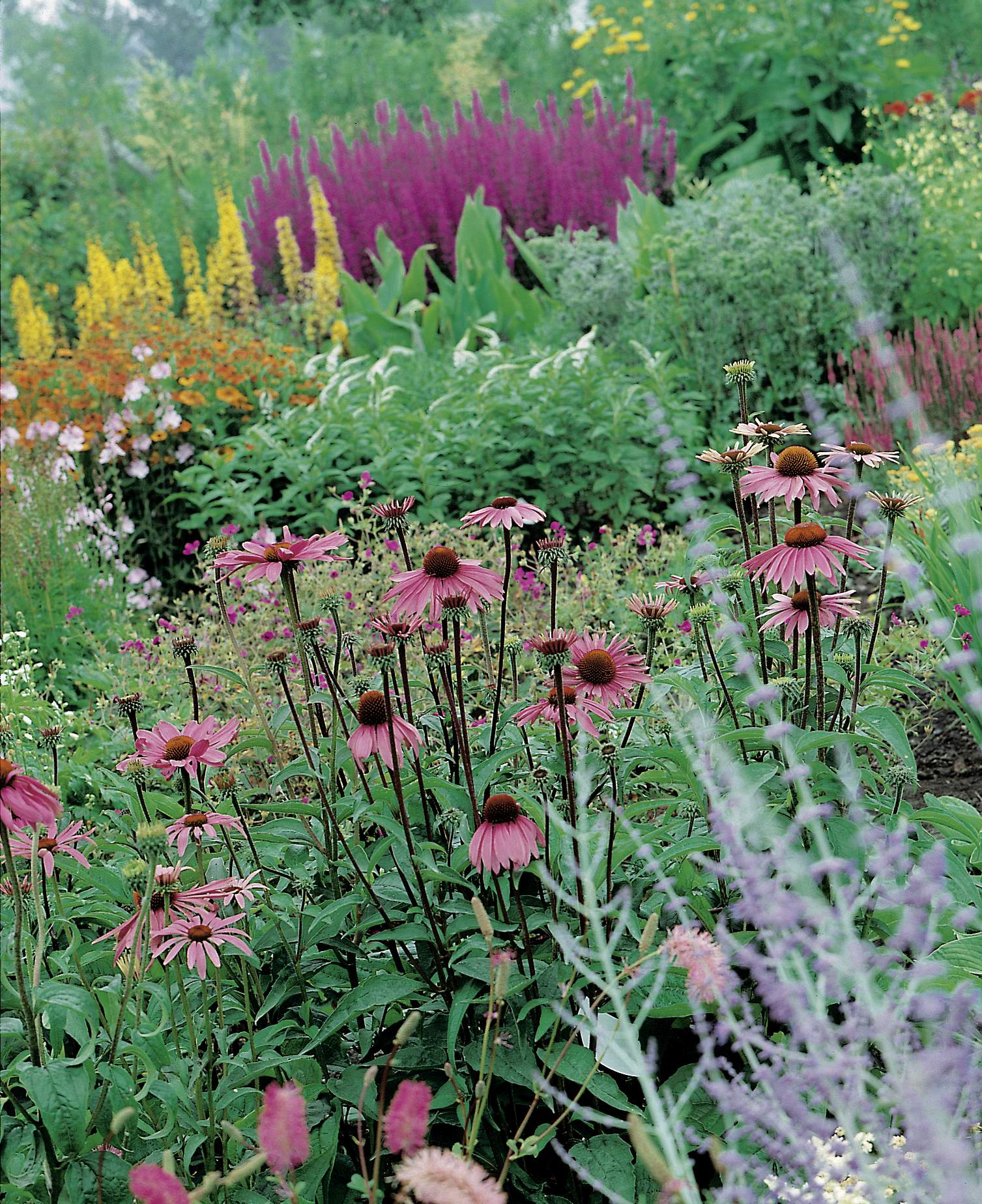 Aiuole perenni in autunno