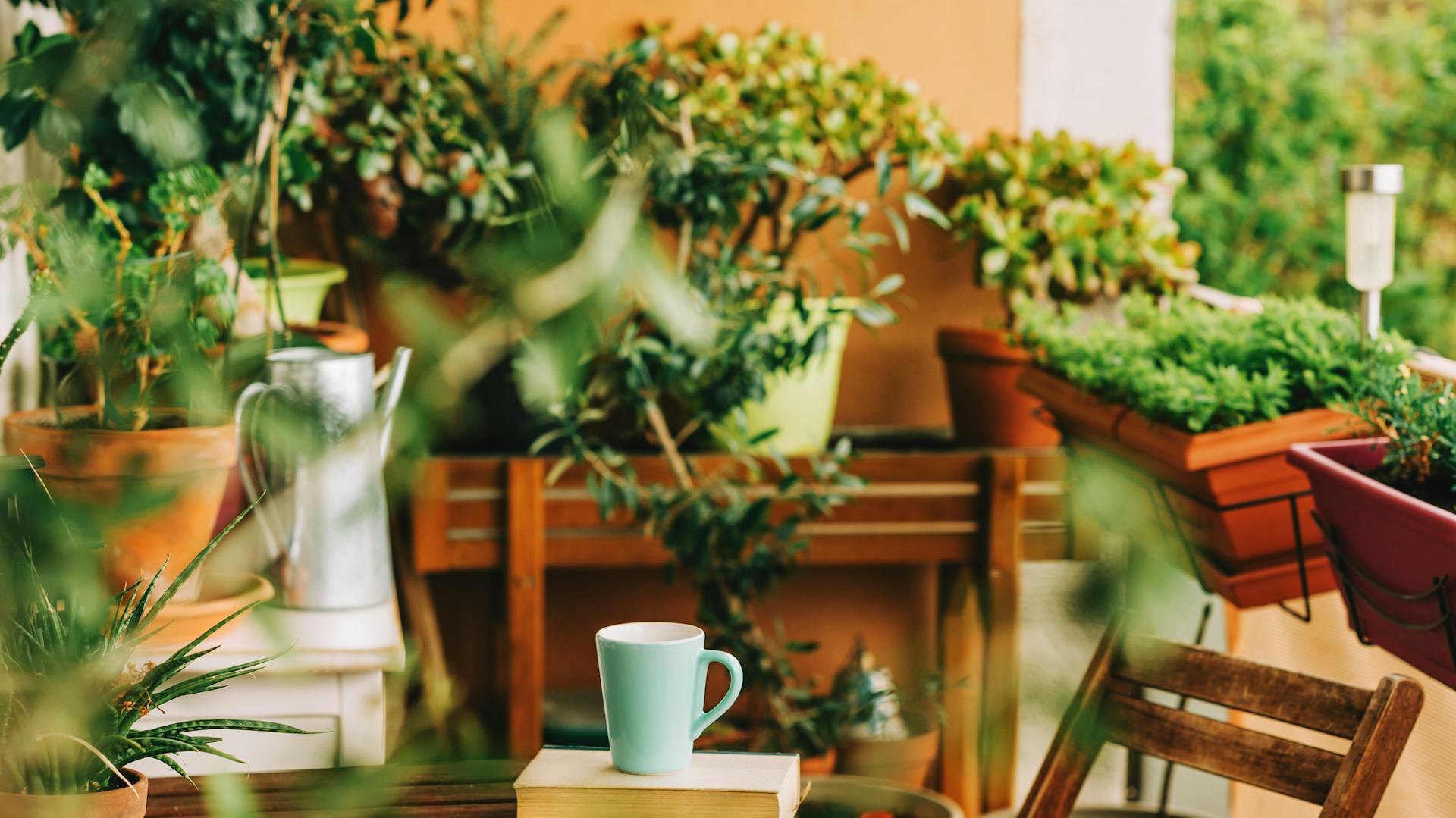 Balkon mit vielen Pflanzen in Töpfen.