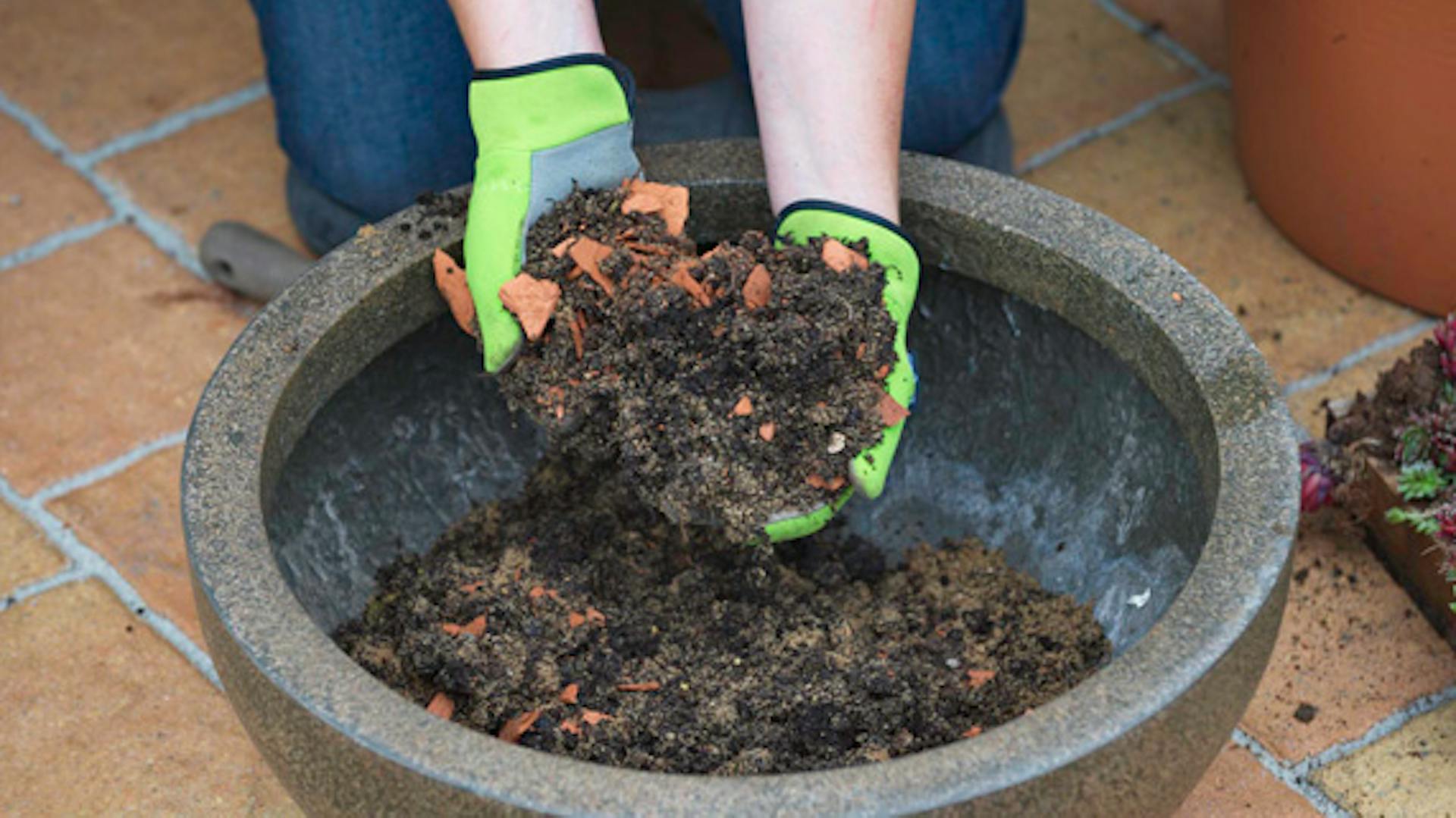 СЕЕМ И САЖАЕМ В ПРЯМОМ ЭФИРЕ. Разбираем и насущные вопросы так же! - YouTube