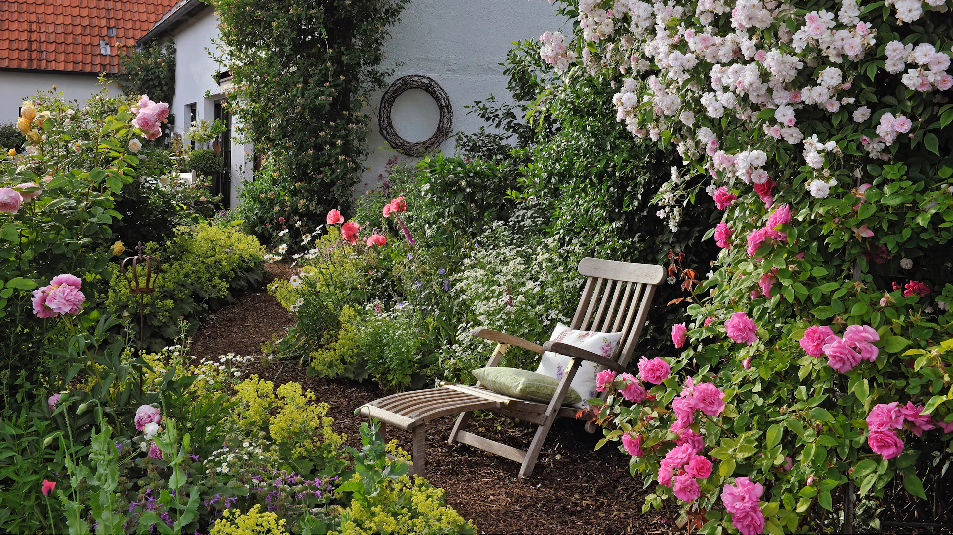 Ramblerrosen an einer Sitzecke im Garten.