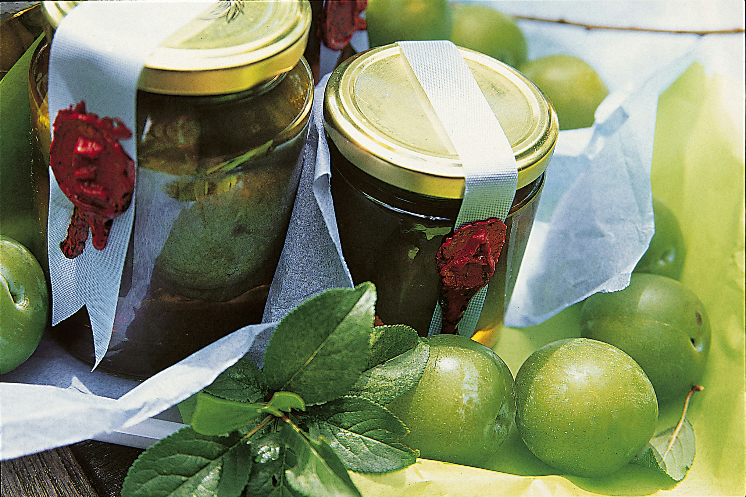 Renekloden – wichtige Eigenschaften im Überblick | OBI Renekloden – wichtige Eigenschaften im Überblick | OBI