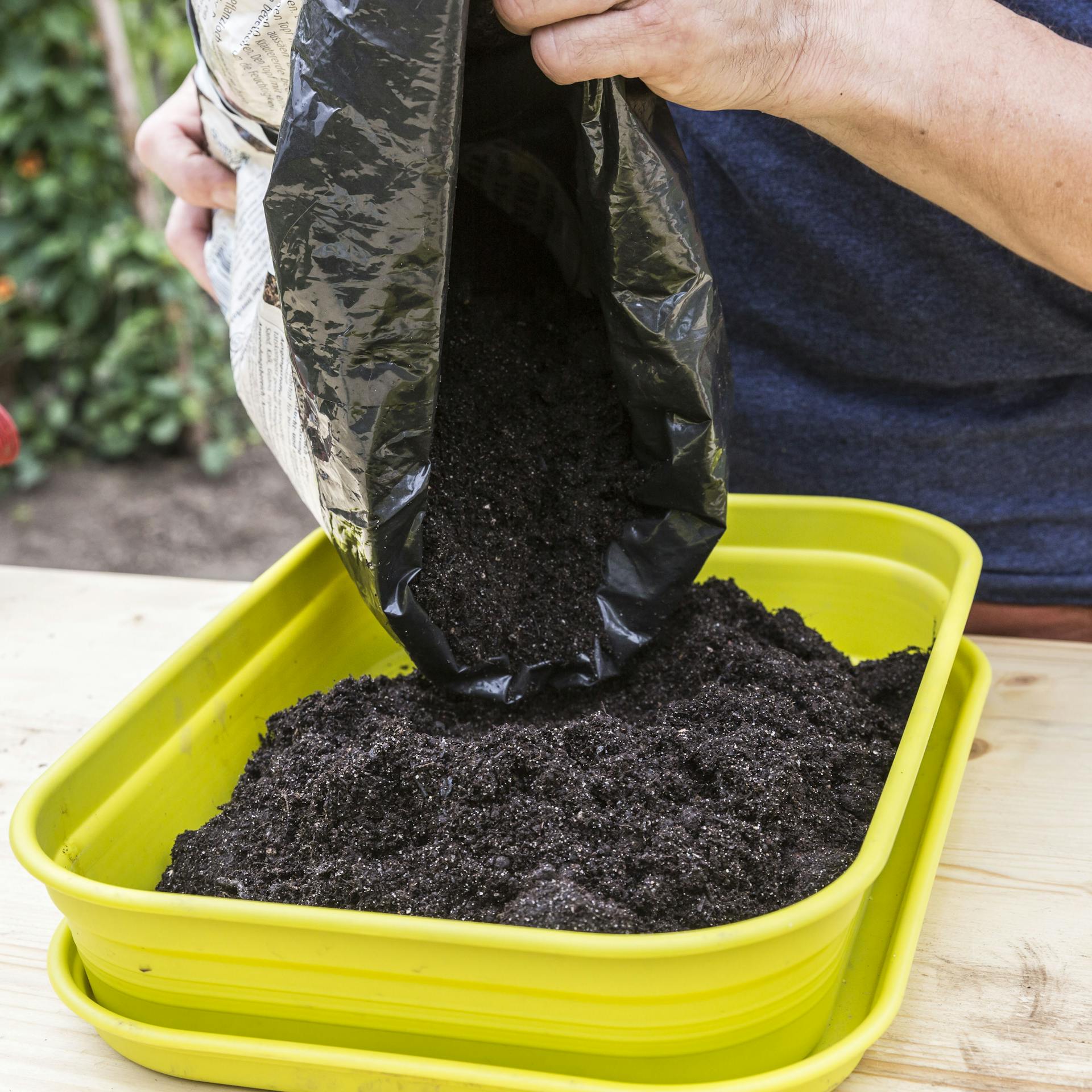 Eine Person füllt Anzuchterde in eine Anzuchtschale.