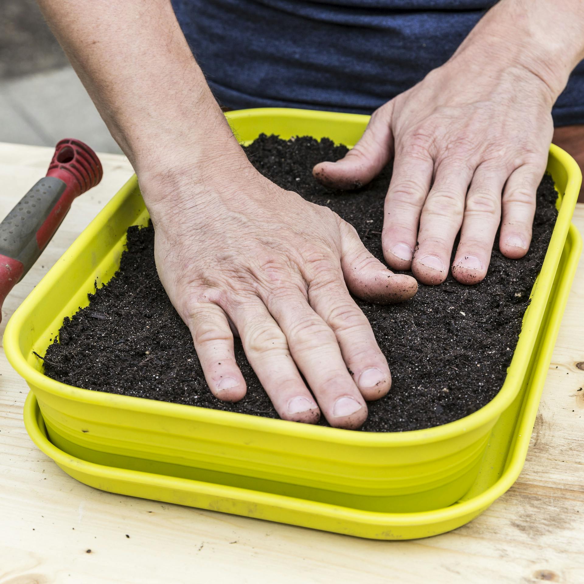 Eine Person drückt die Anzuchterde mit flachen Händen an.