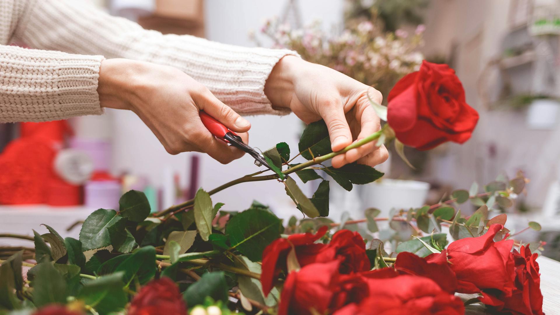 Rote Rosen als Schnittblumen