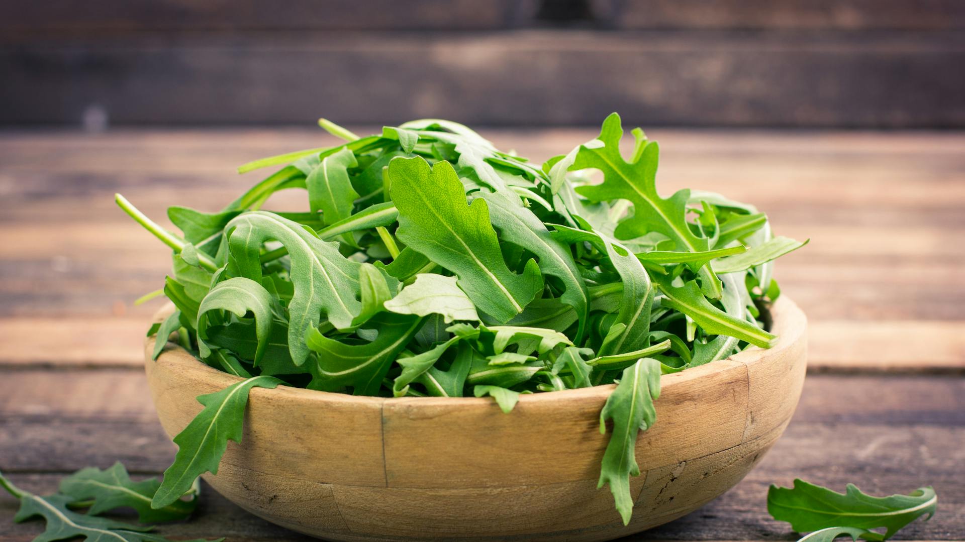 Rucola – Eigenschaften der Pflanze im Überblick | OBI