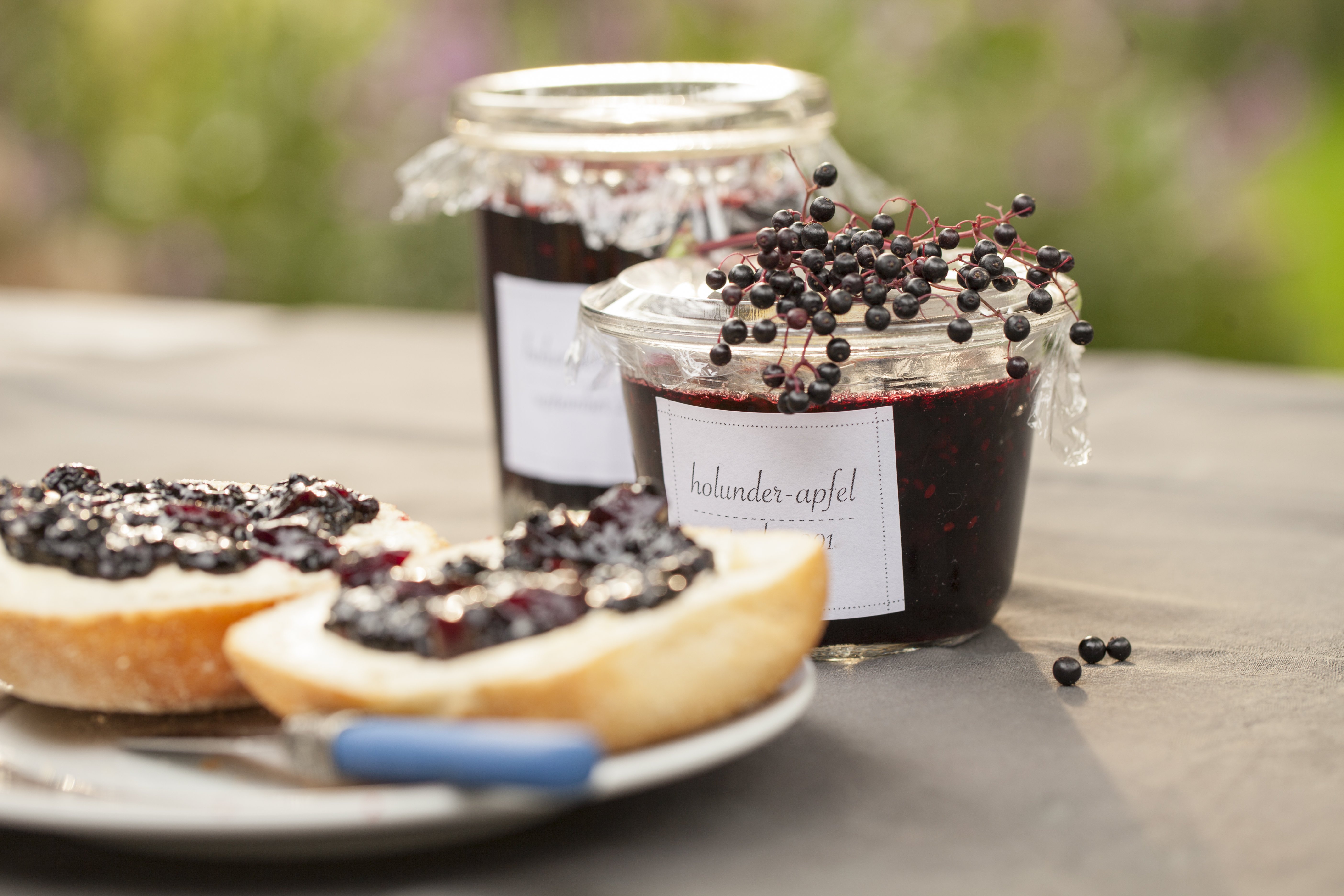 Schwarzer Holunder: So pflanzt und pflegst du ihn | OBI