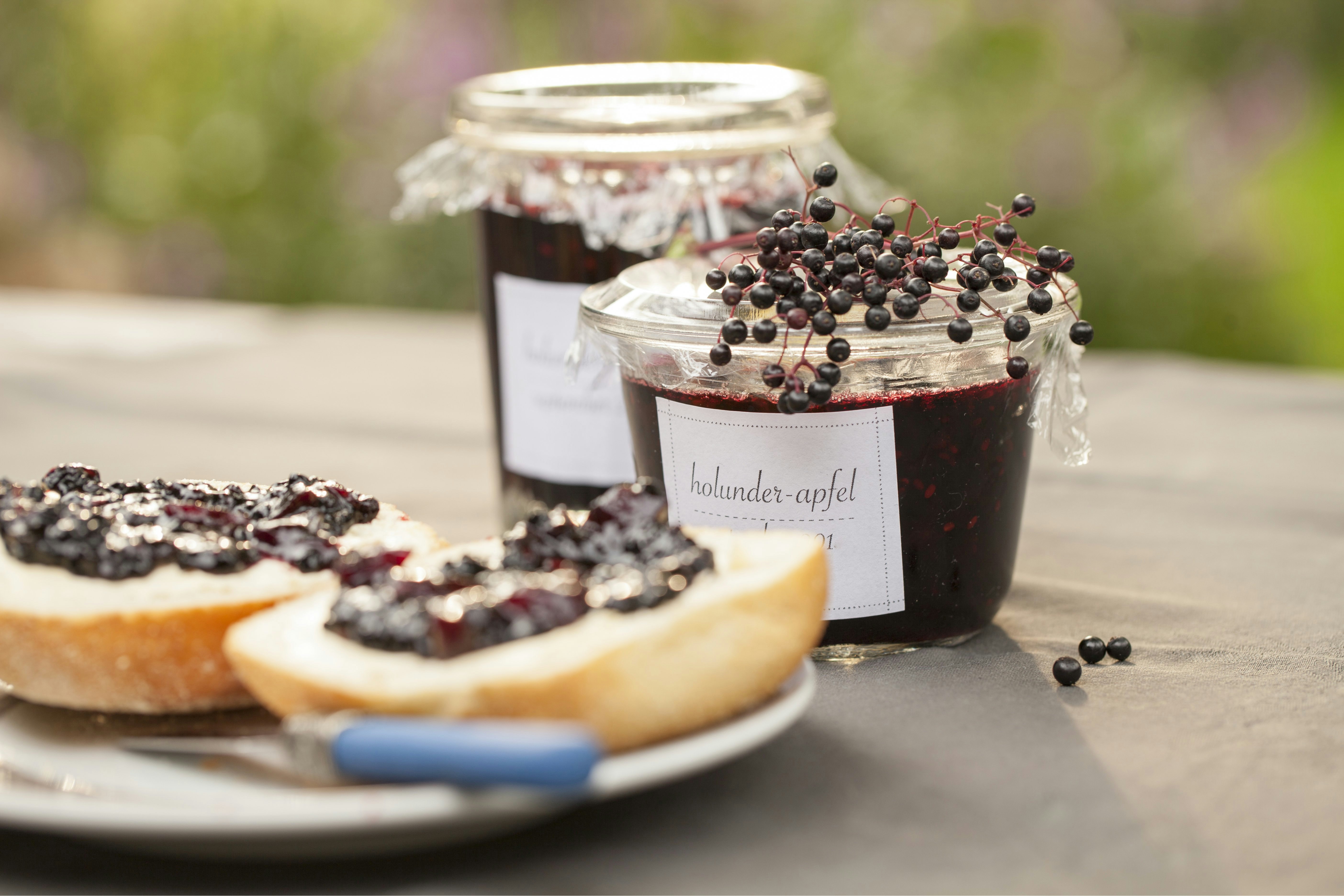 Schwarzer Holunder: So pflanzt und pflegst du ihn | OBI Schwarzer Holunder: So pflanzt und pflegst du ihn | OBI