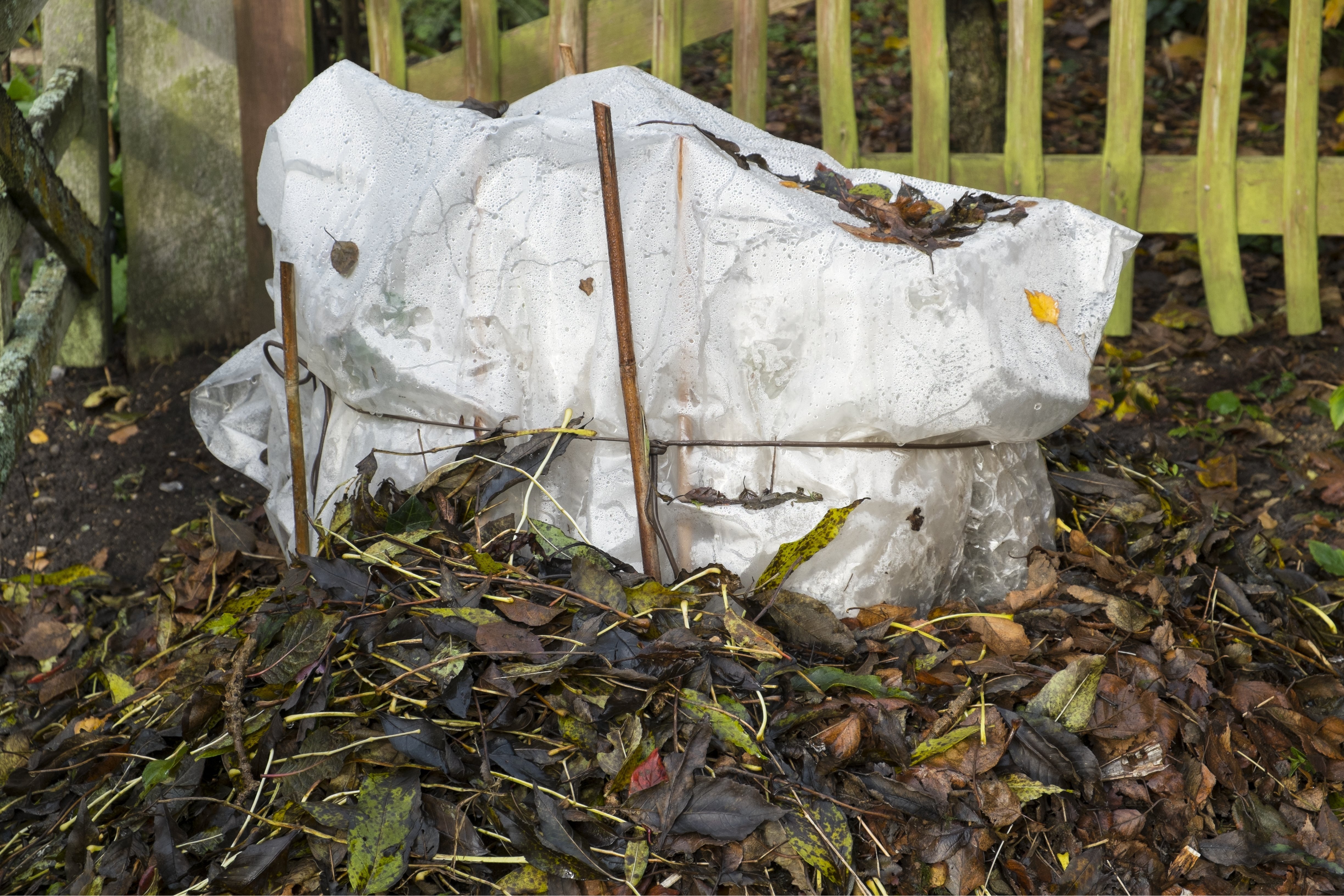 Steckhölzer unter einem Winterschutz.