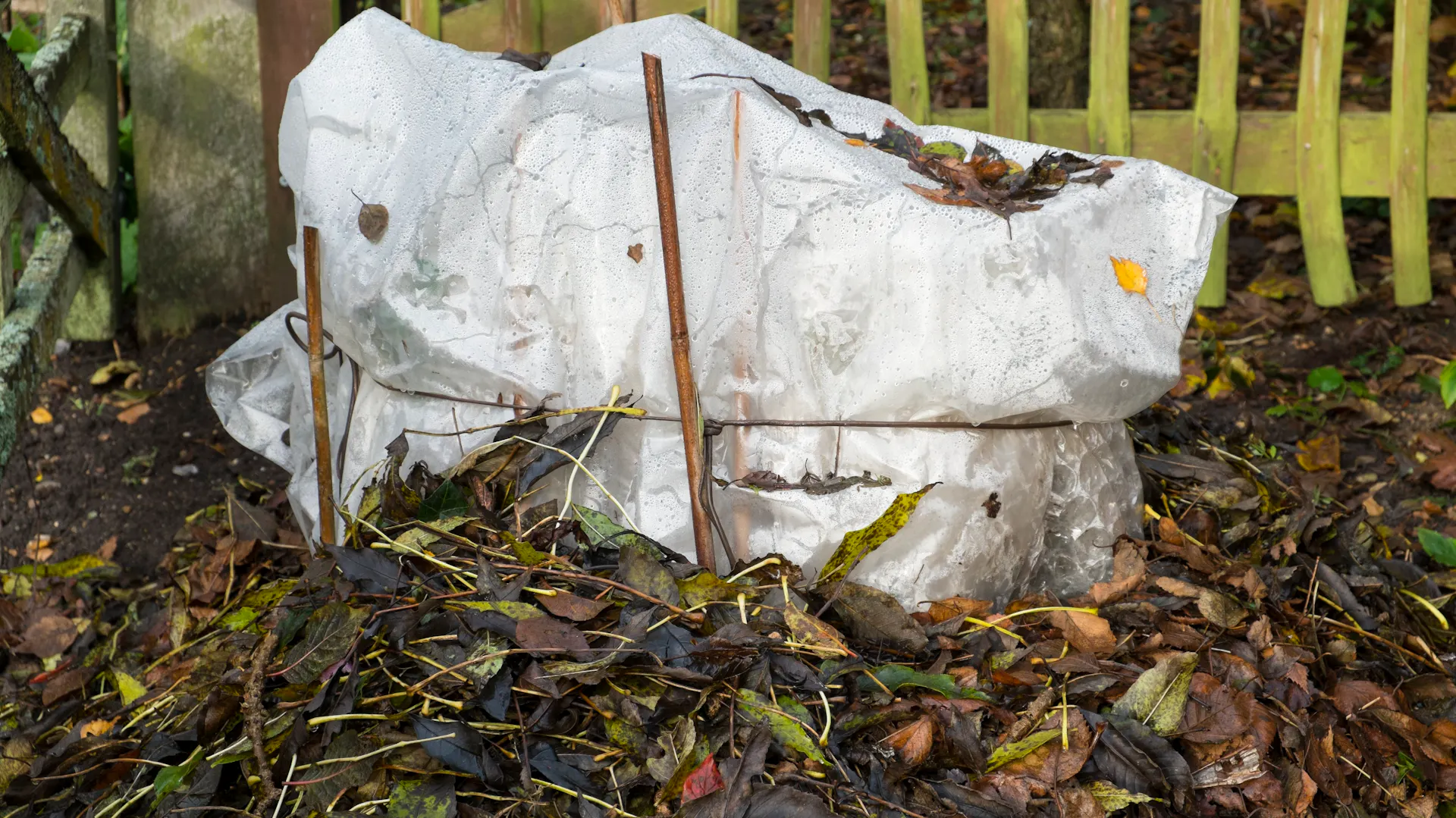 Steckhölzer unter einem Winterschutz.