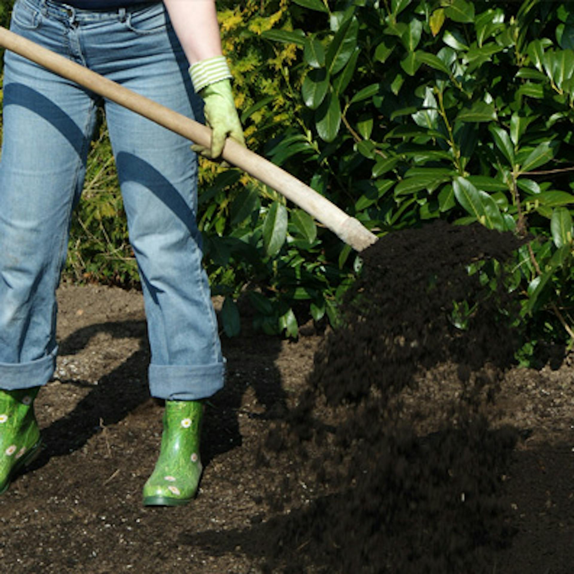 Egy gumicsizmás nő humuszt terít egy ágyáson, ásóval.
