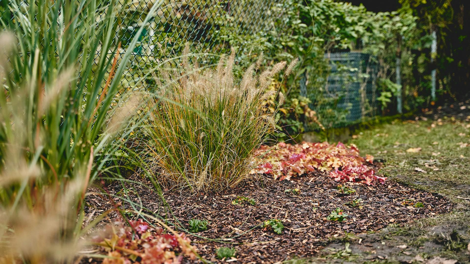 Staudenbeet im Garten
