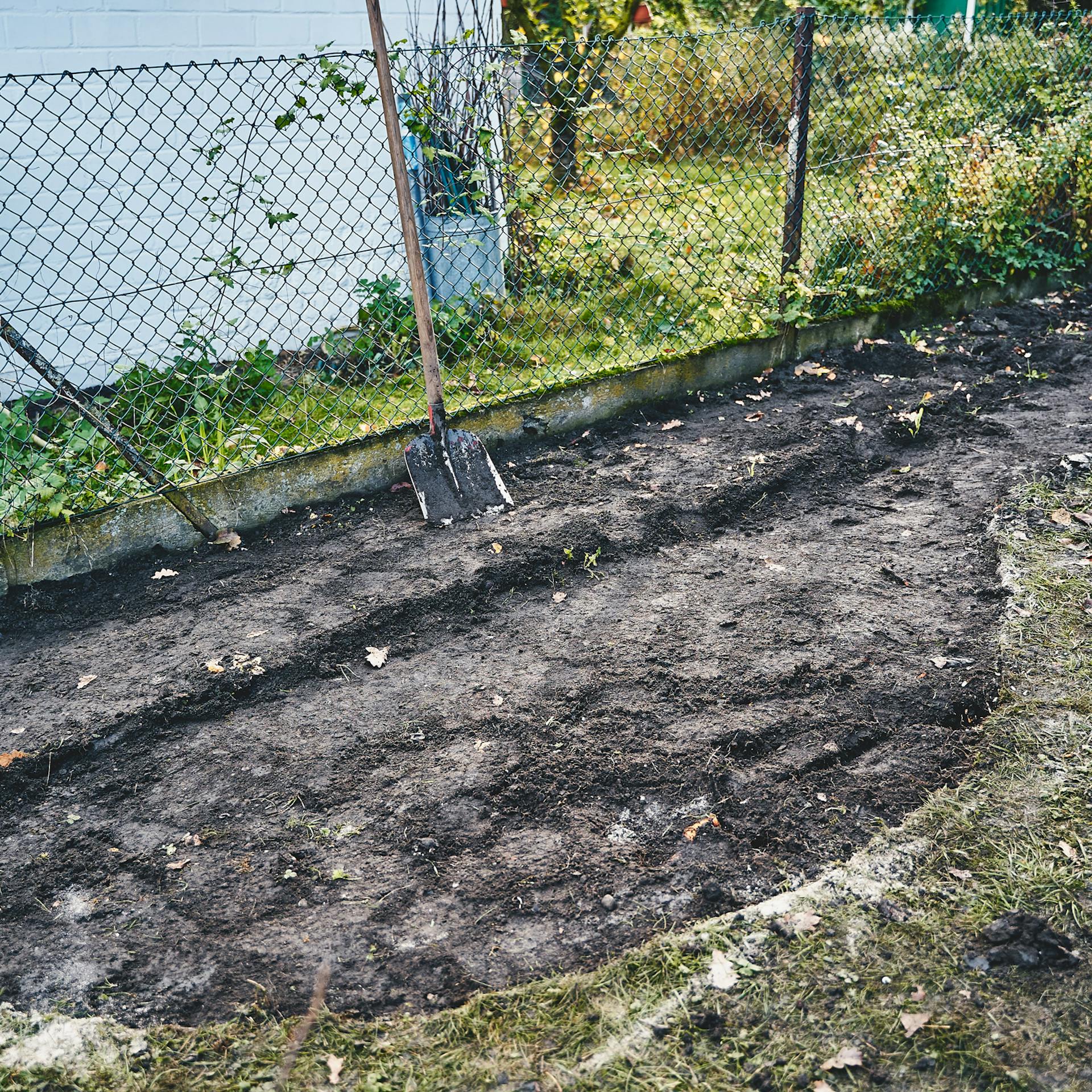 Egy évelőágyás földjét eltávolították, így az készen áll az ültetésre.
