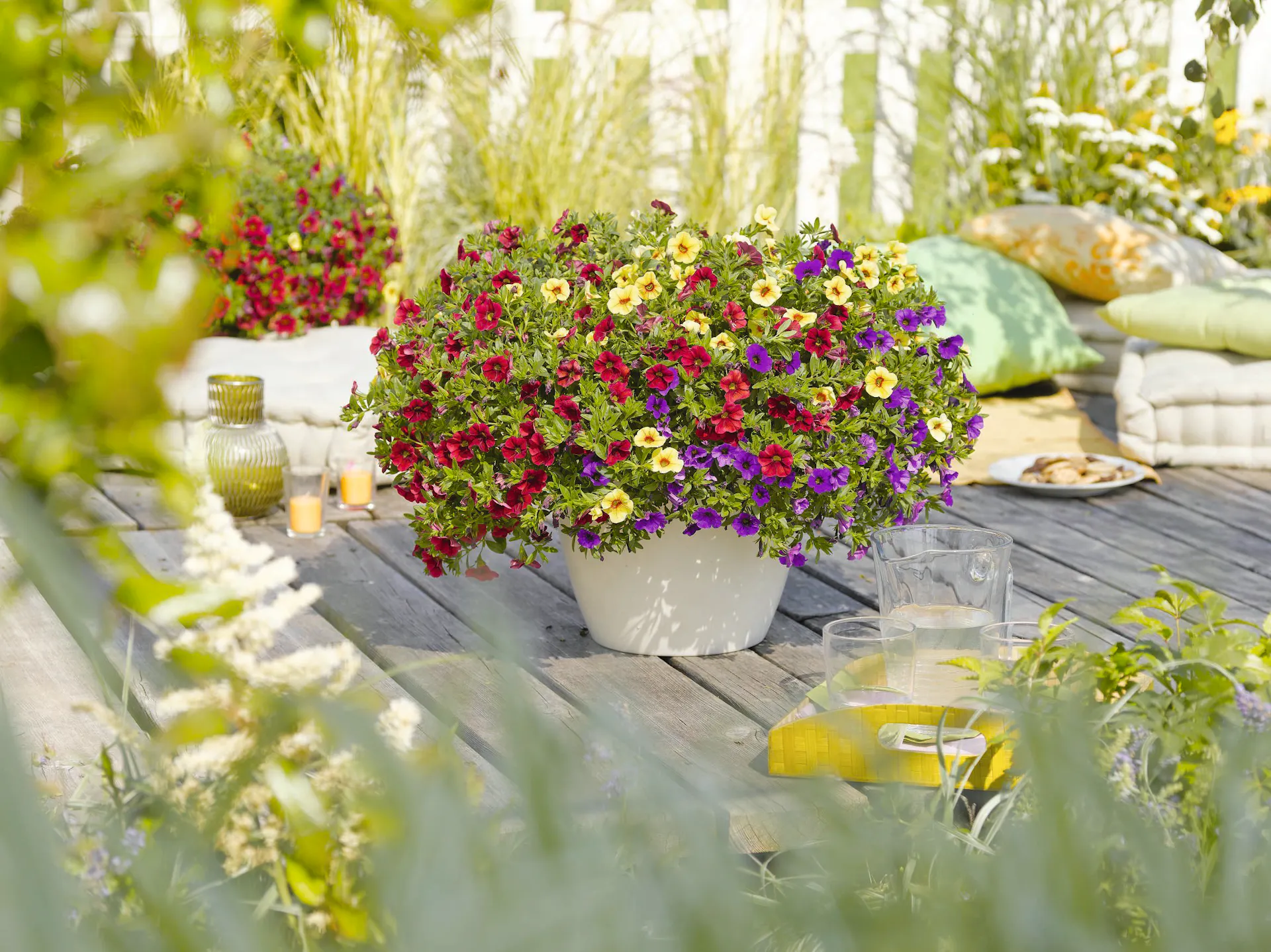 Vaso con piante colorate su terrazza in assi di legno