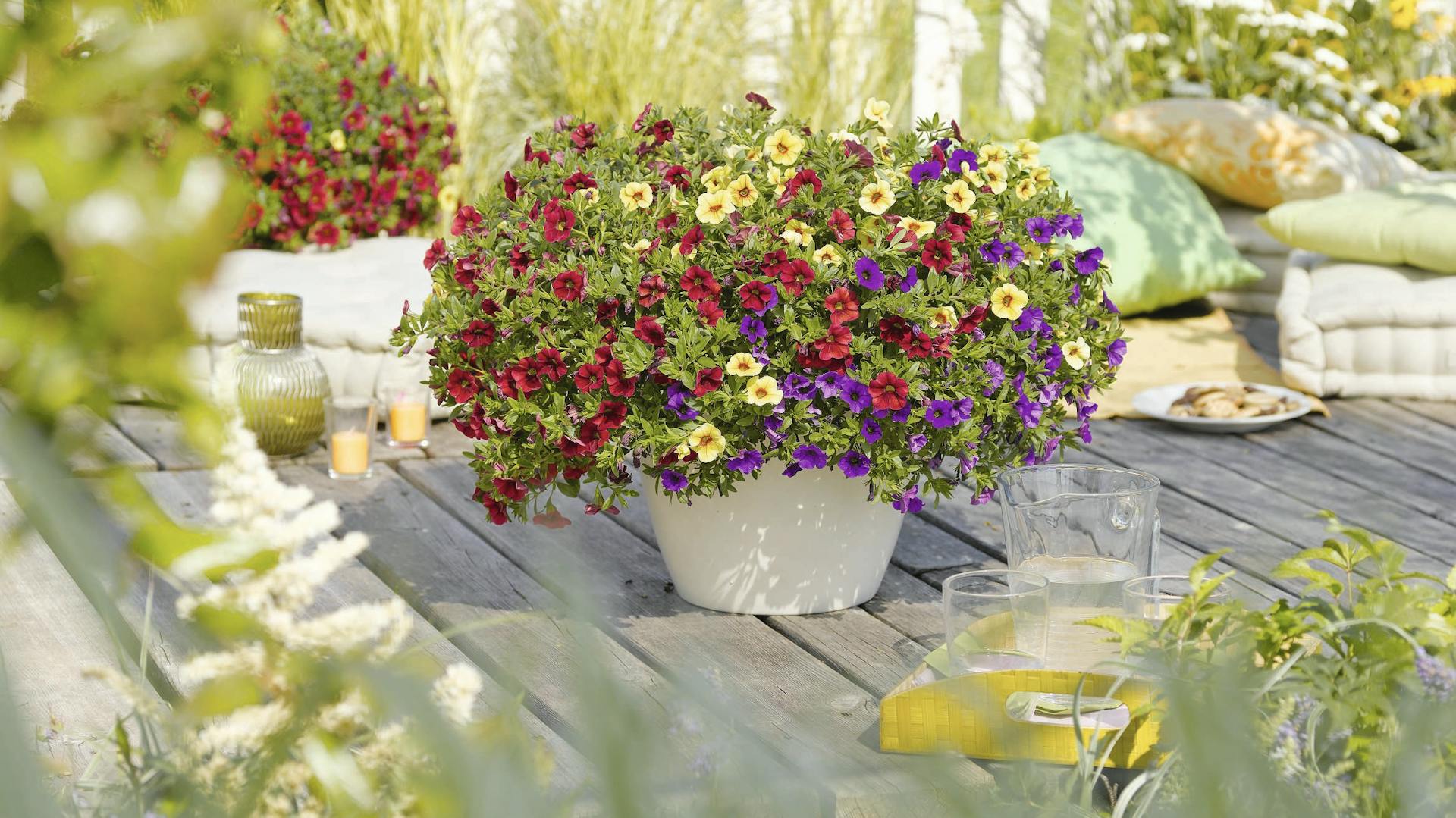 Topf mit bunter Bepflanzung auf Terrasse aus Holzdielen