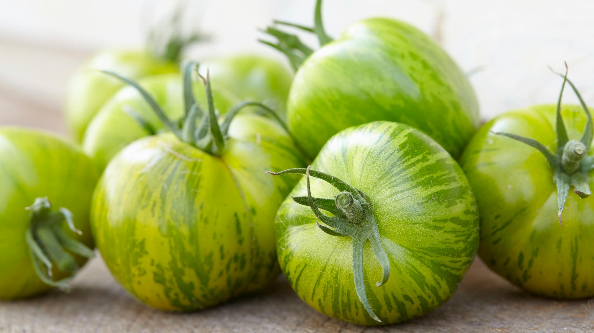 Zelené paradajky odrody „Green Zebra“