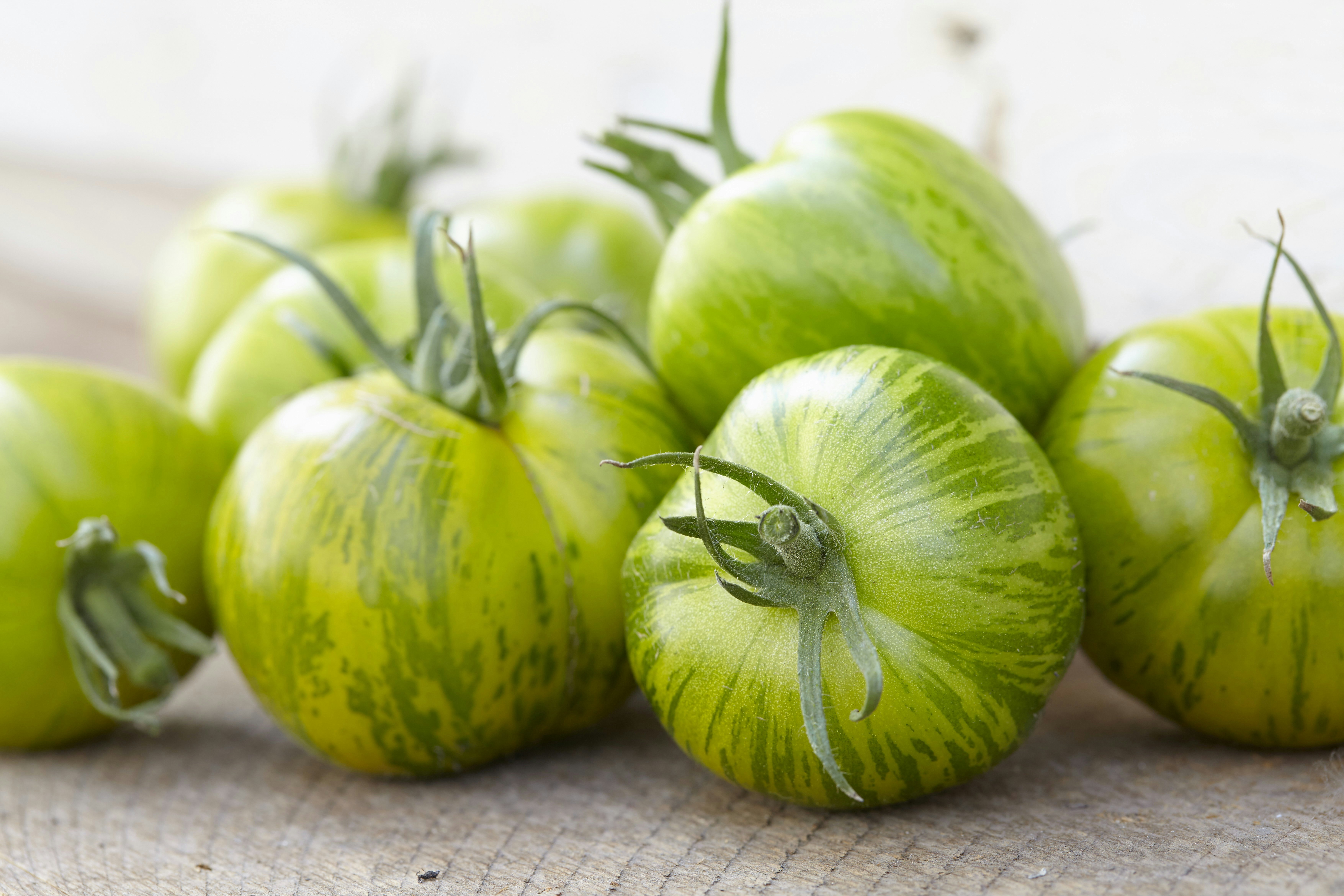 Grüne Tomaten: giftig oder besondere Delikatesse? | OBI Grüne Tomaten: giftig oder besondere Delikatesse? | OBI