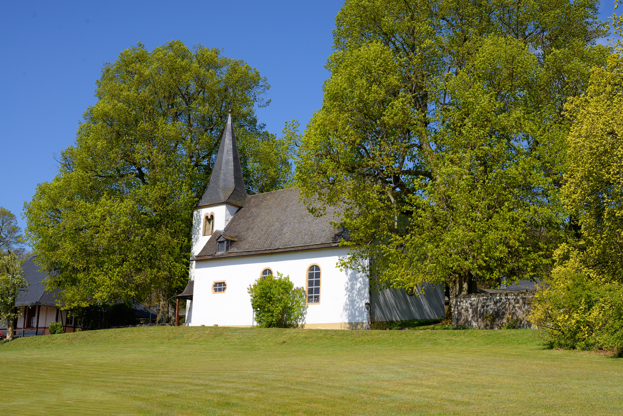 Ulmen an einer Kirche